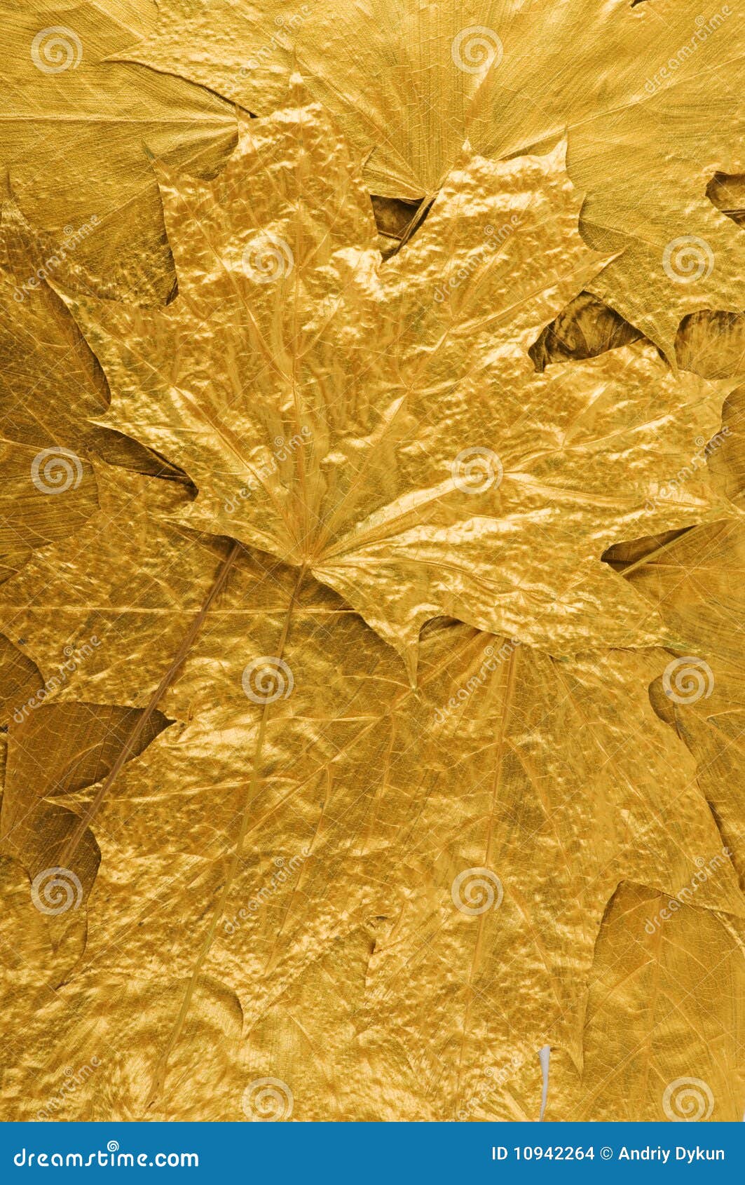 Golden leaves background stock photo. Image of beautiful 10942264