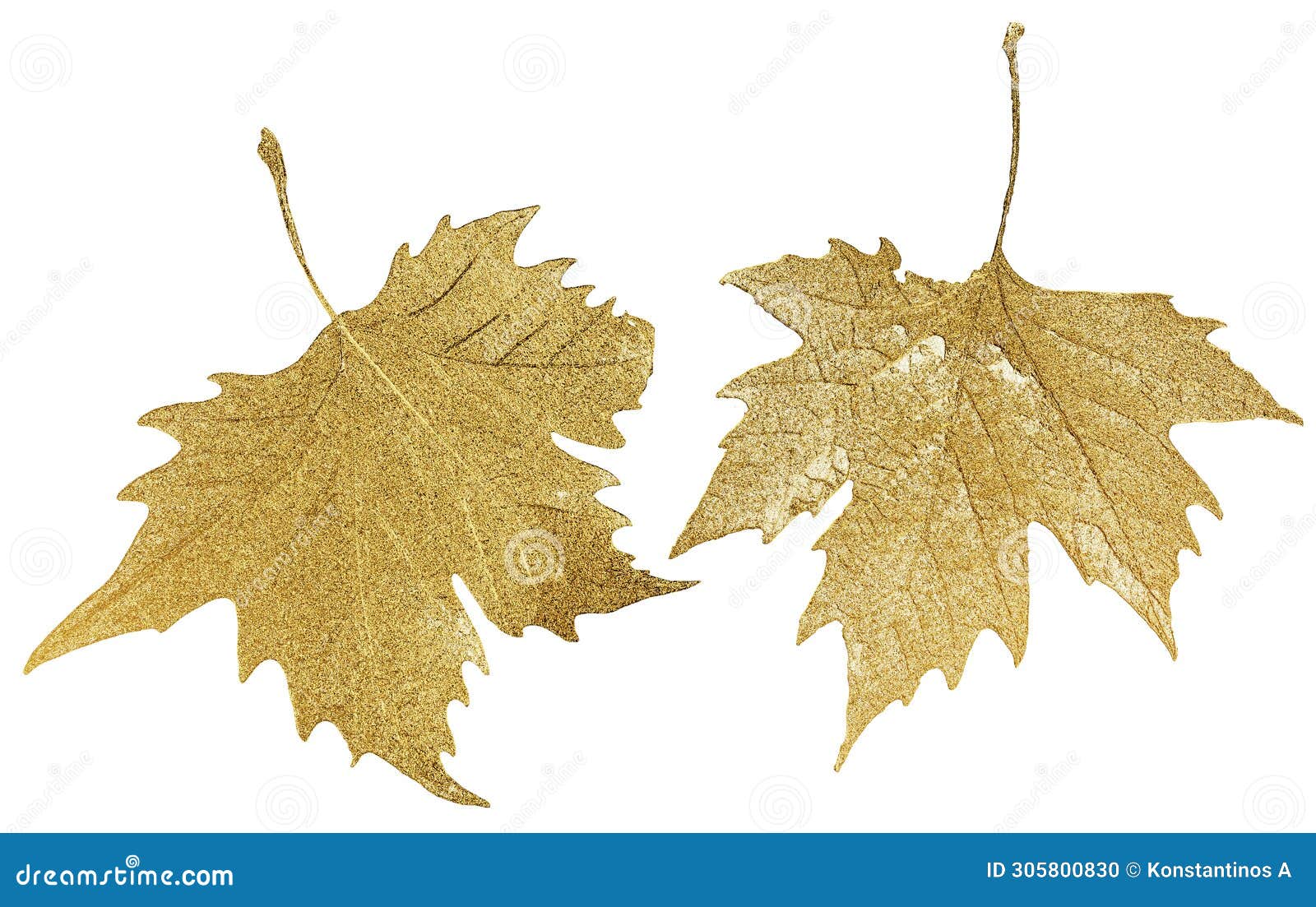 261 Chinar Leaf Royalty-Free Photos and Stock Images | Shutterstock