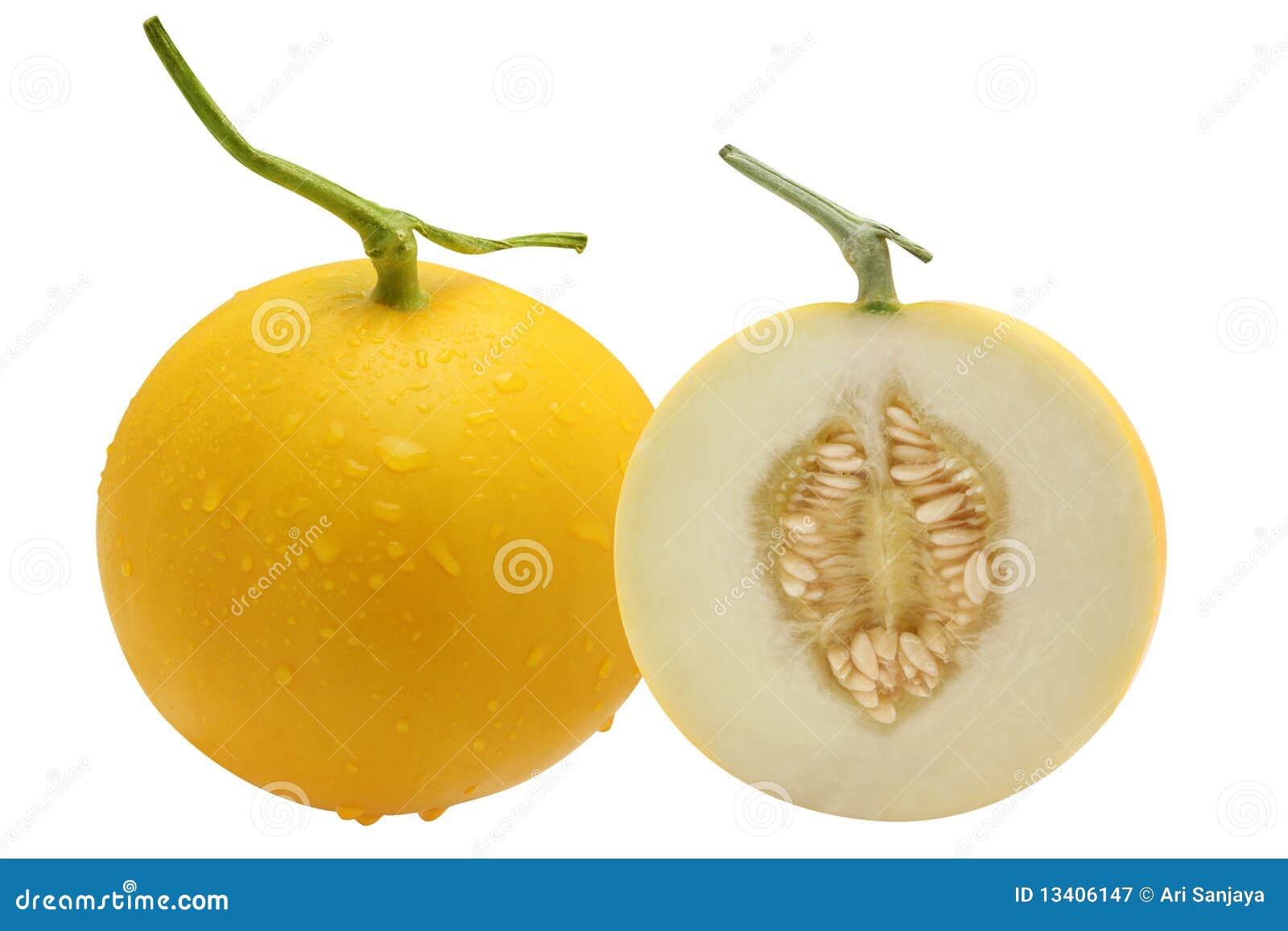 Golden melon stock image. Image of portion, close, agriculture 13406147