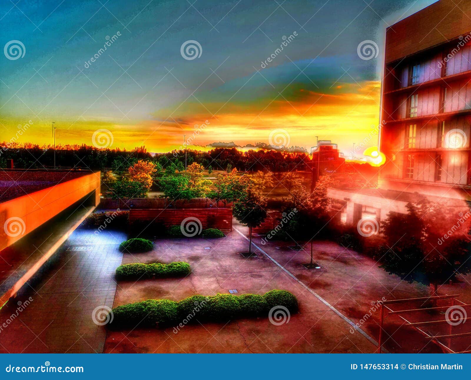 Golden Morning Sunset in Spain Stock Photo - Image of morning, golden ...