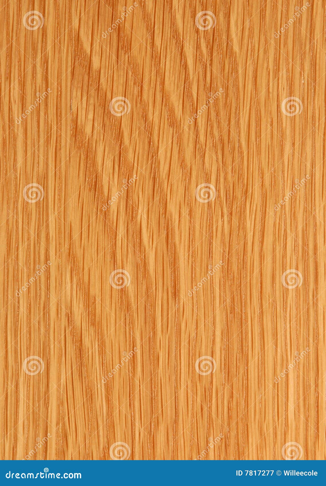 Golden oak veneer stock image. Image of hard, detail, build 7817277