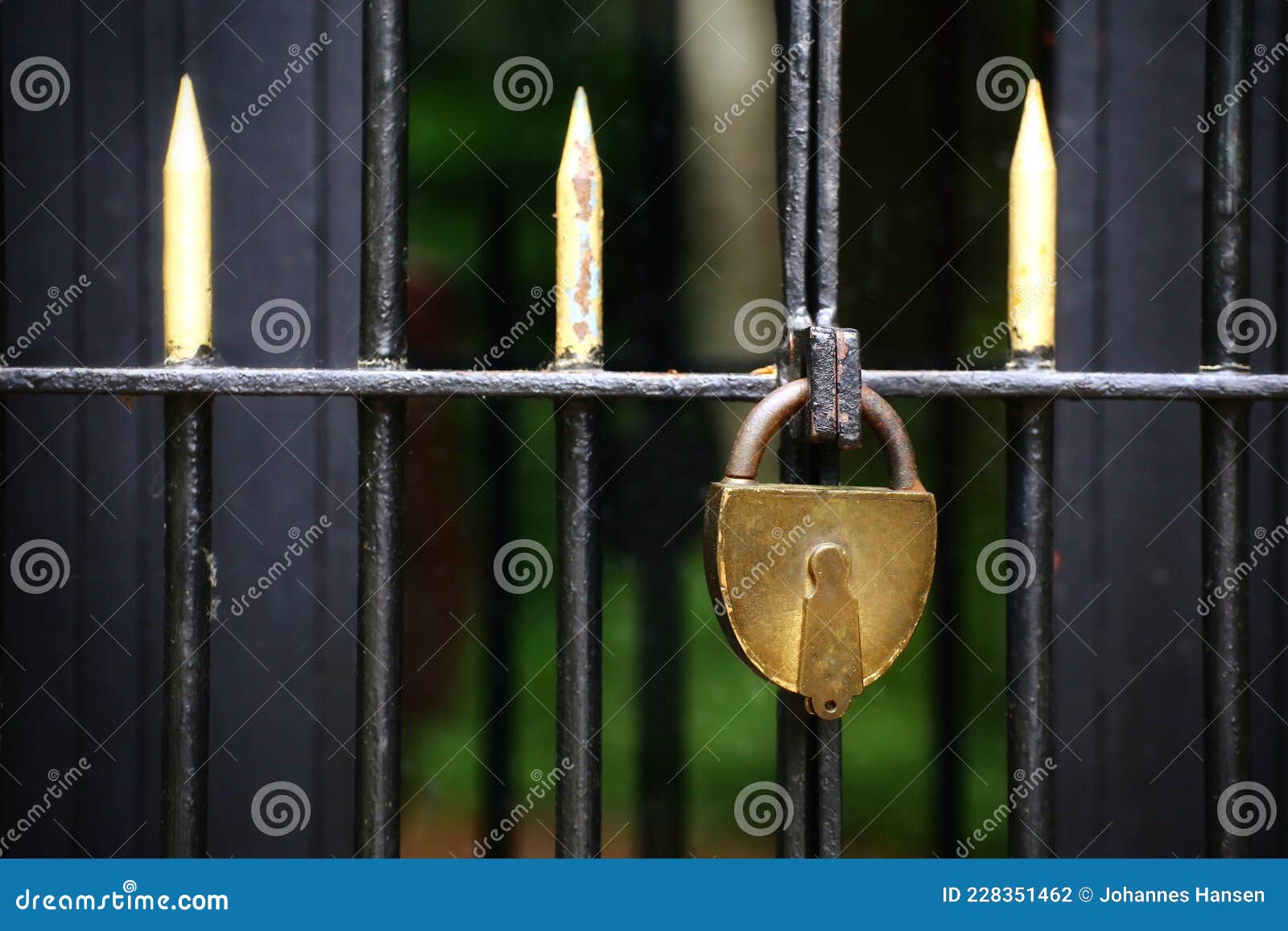 Golden Padlock on an Old Fence Gate Stock Photo Image of metal
