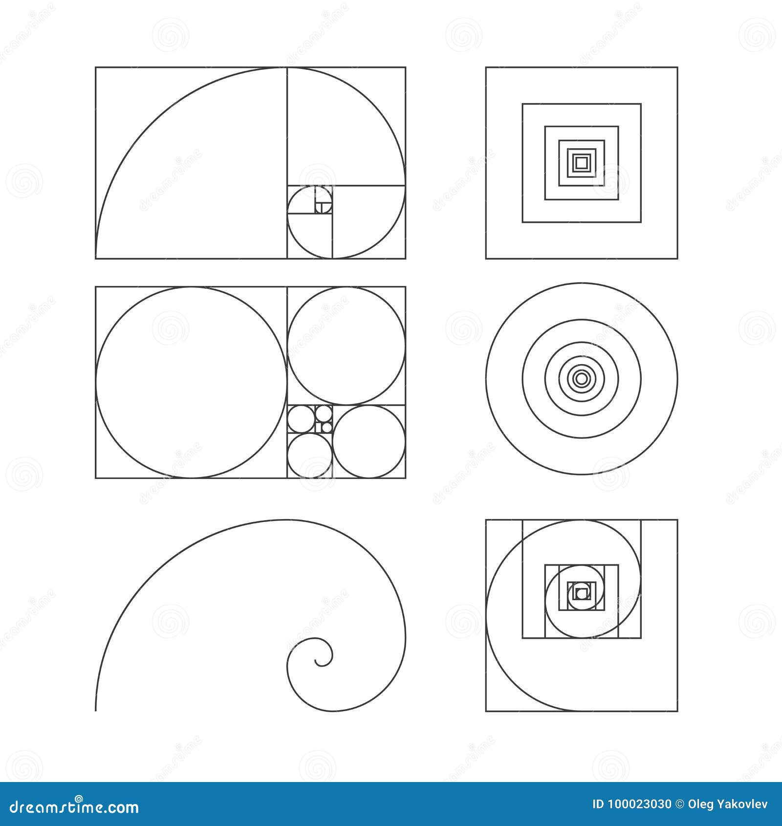 Golden Ratio Template Vector Illustration Stock Vector ... Golden Ratio Template Vector Illustration Stock Vector ...