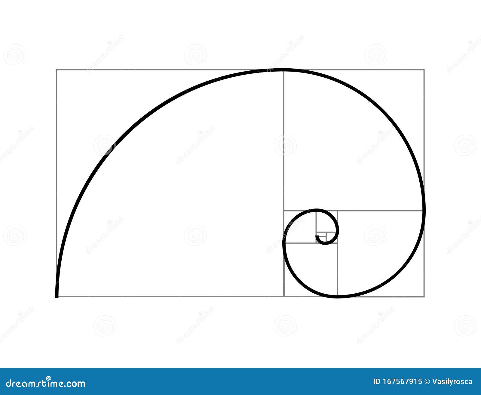 Golden Ratio Vector Proportion Spiral Section. Fibonacci Golden Ratio