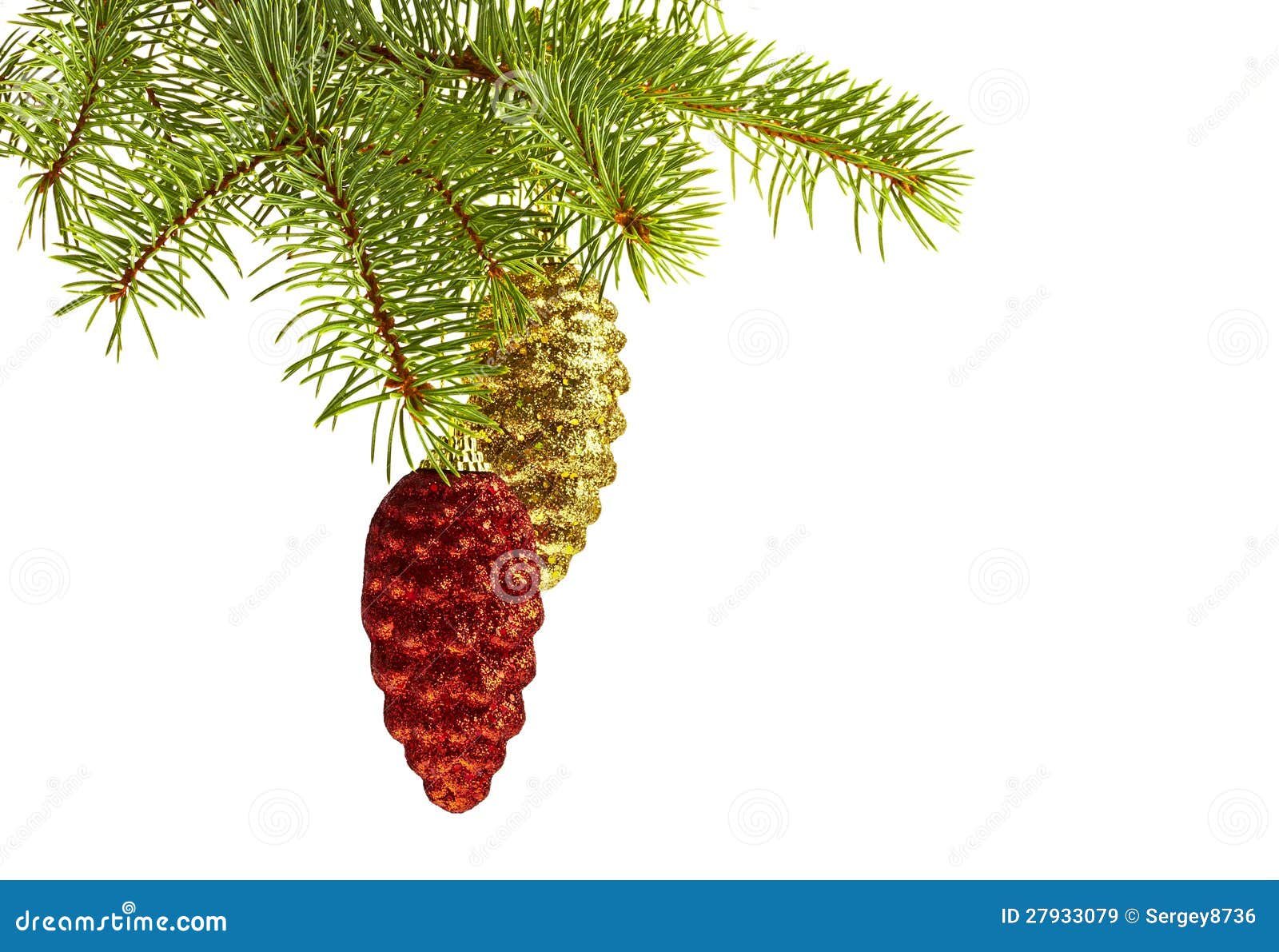 Golden and Red Cones on Fir Tree Stock Image Image of snow, color