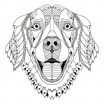 Golden Retriever Dog Zentangle Stylized Head Freehand Pencil H Stock ...