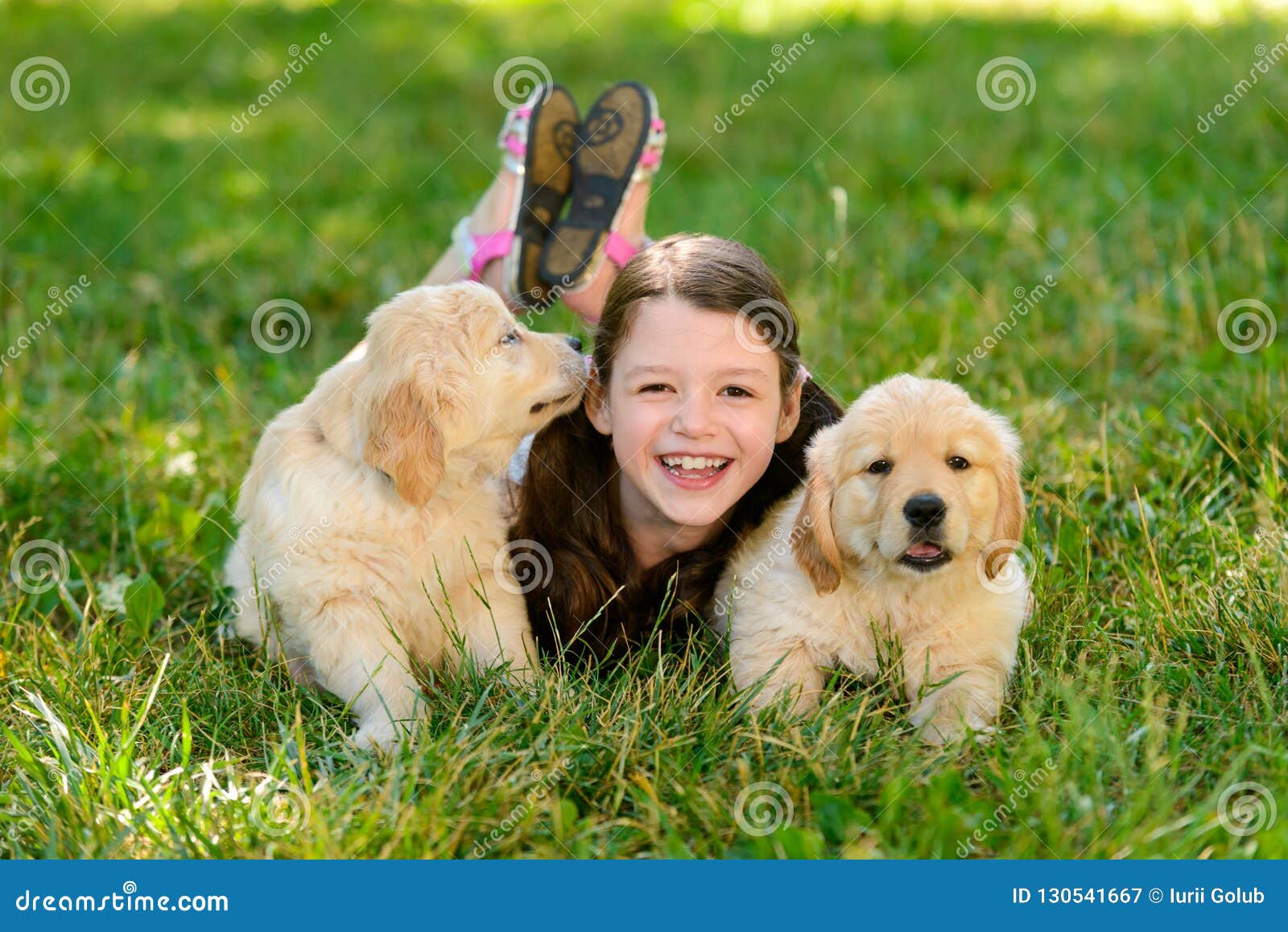Golden Retriever Puppies and Kid Stock Image - Image of outside