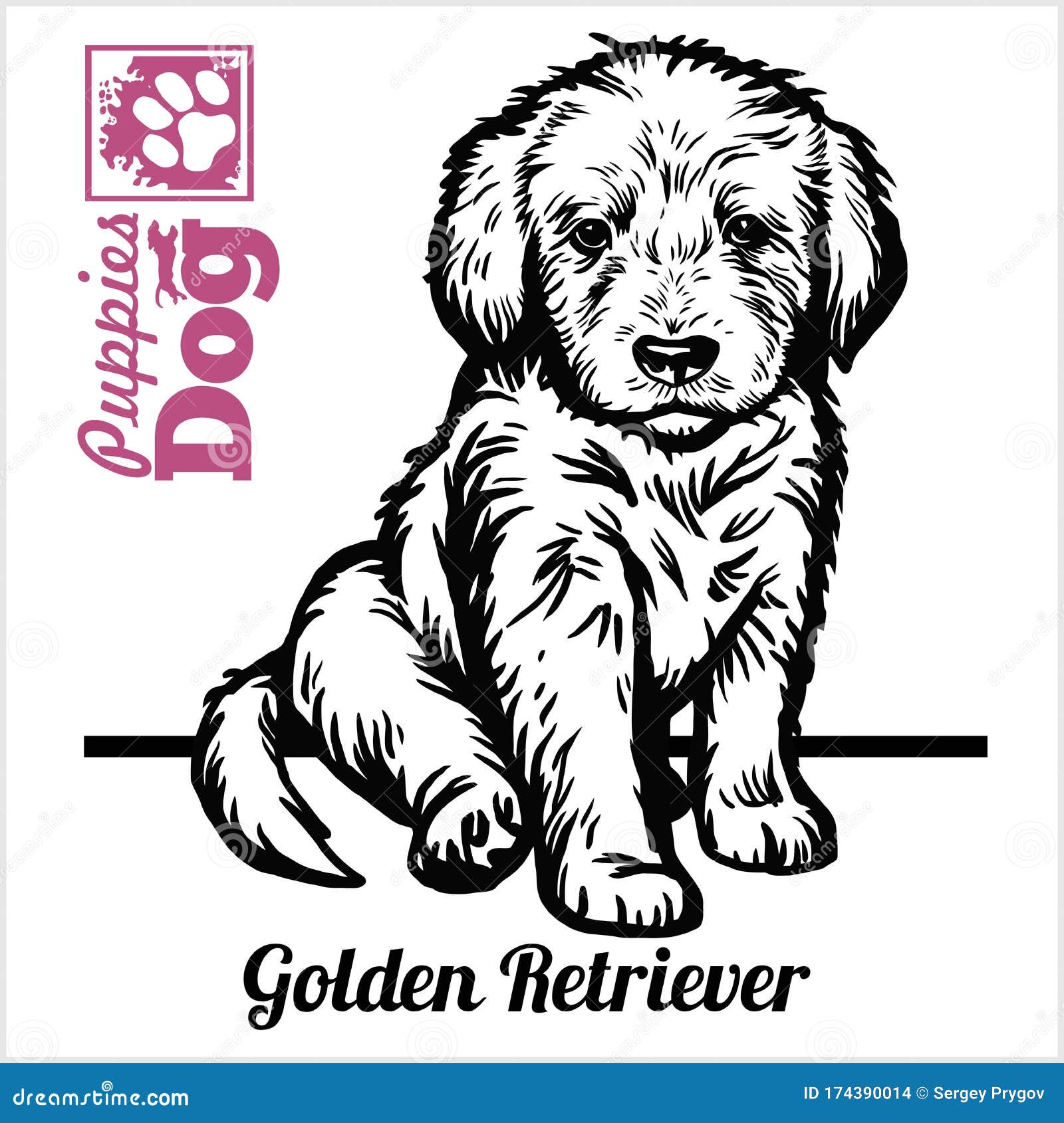 Golden Retriever Puppy Sitting. Drawing By Hand, Sketch