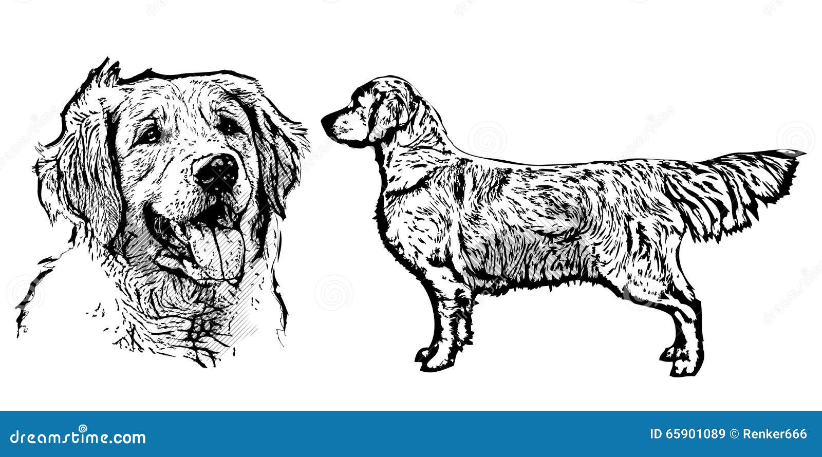 Golden Retriever Dog Face Printable Vector Stencil