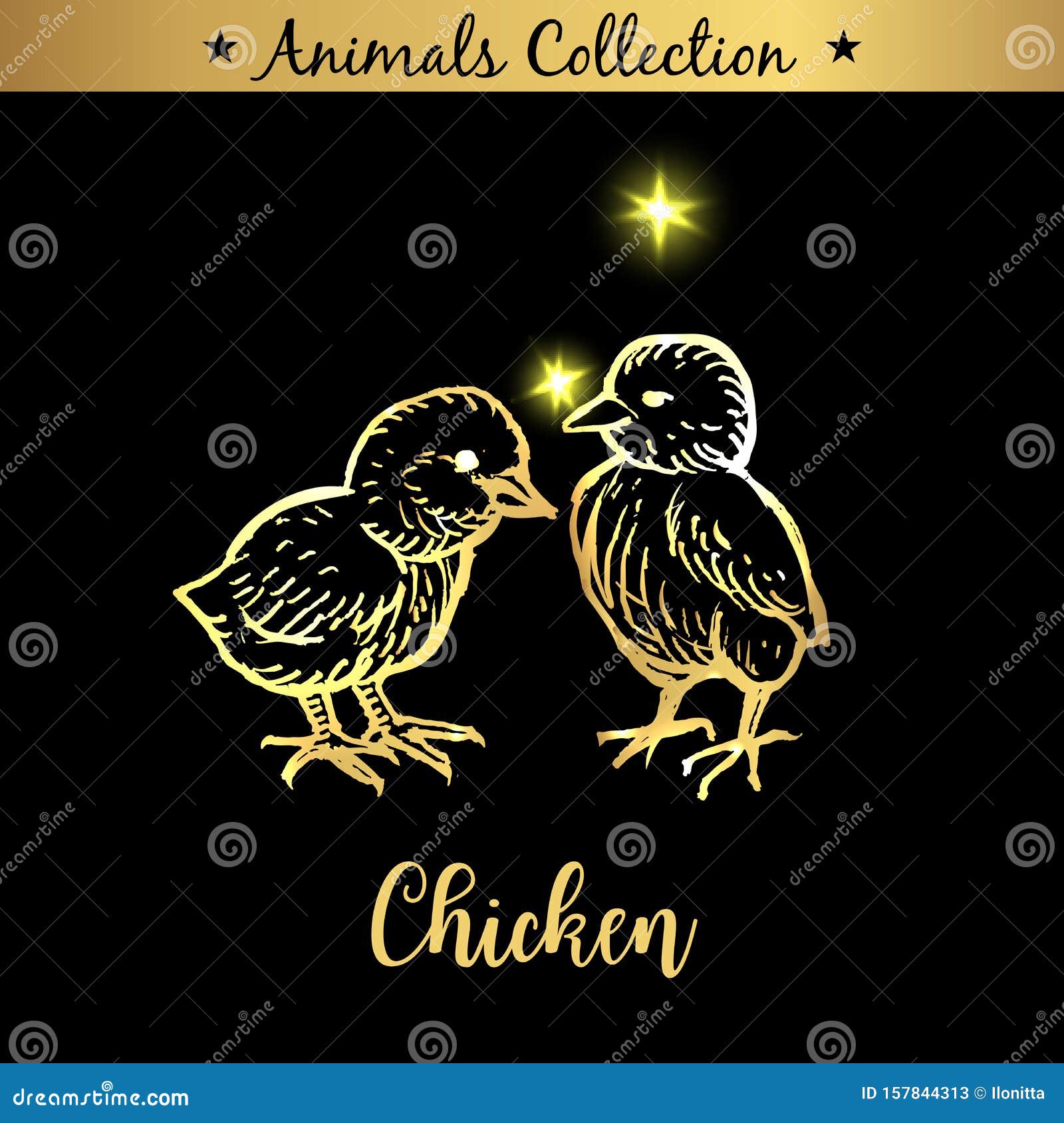 Golden and Royal Hand Drawn Emblem of Farm Chicken Animals. Butchery ...