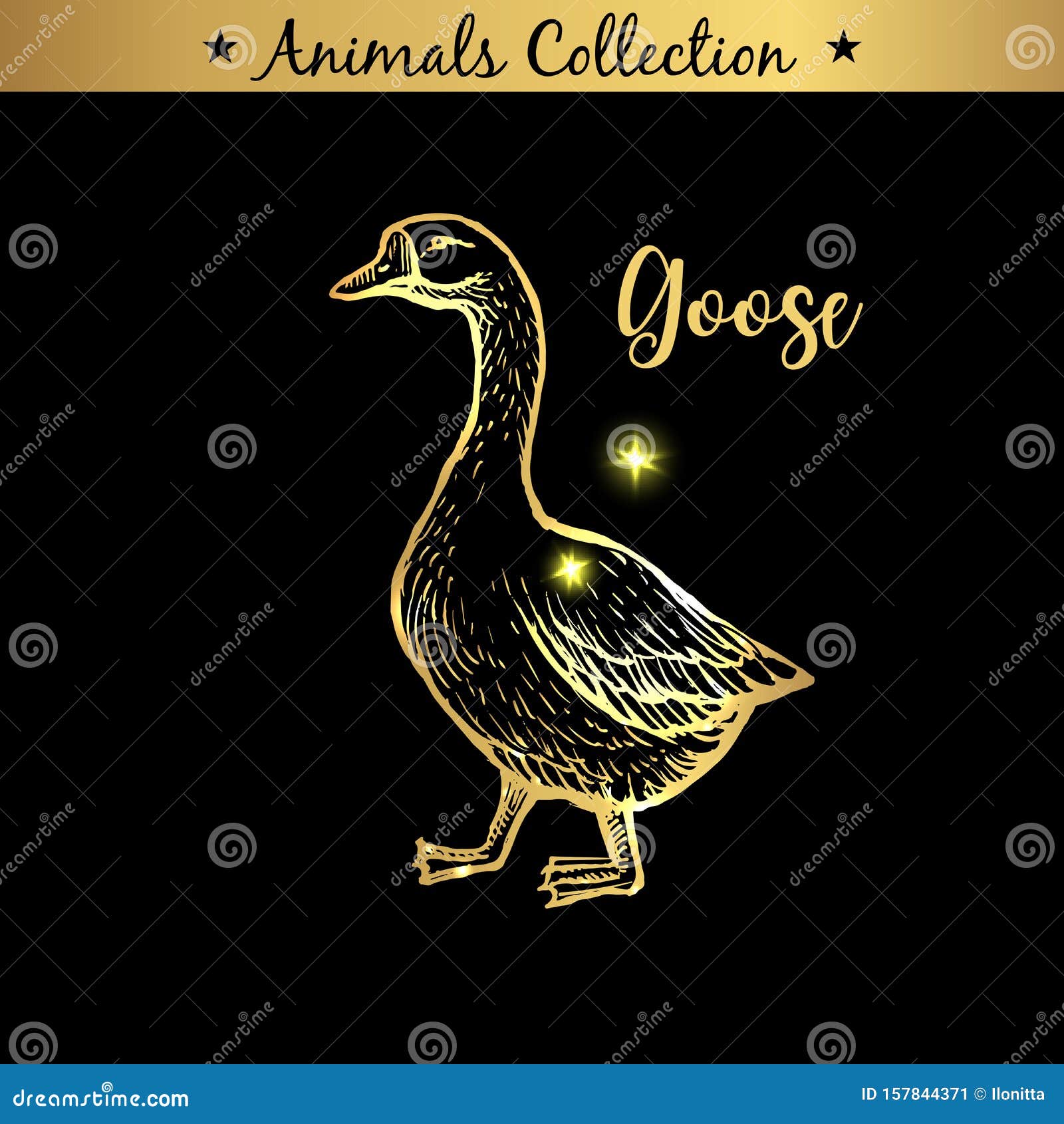 Golden and Royal Hand Drawn Emblem of Farm Goose Animal. Butchery Shop ...