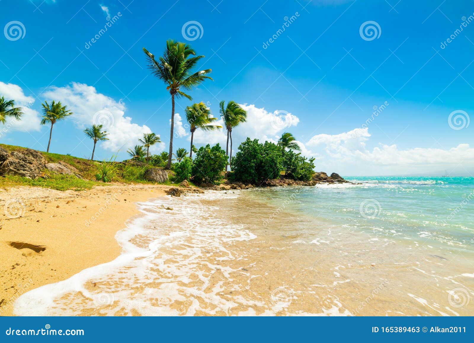 Golden sand in Guadeloupe stock image. Image of tourism - 165389463