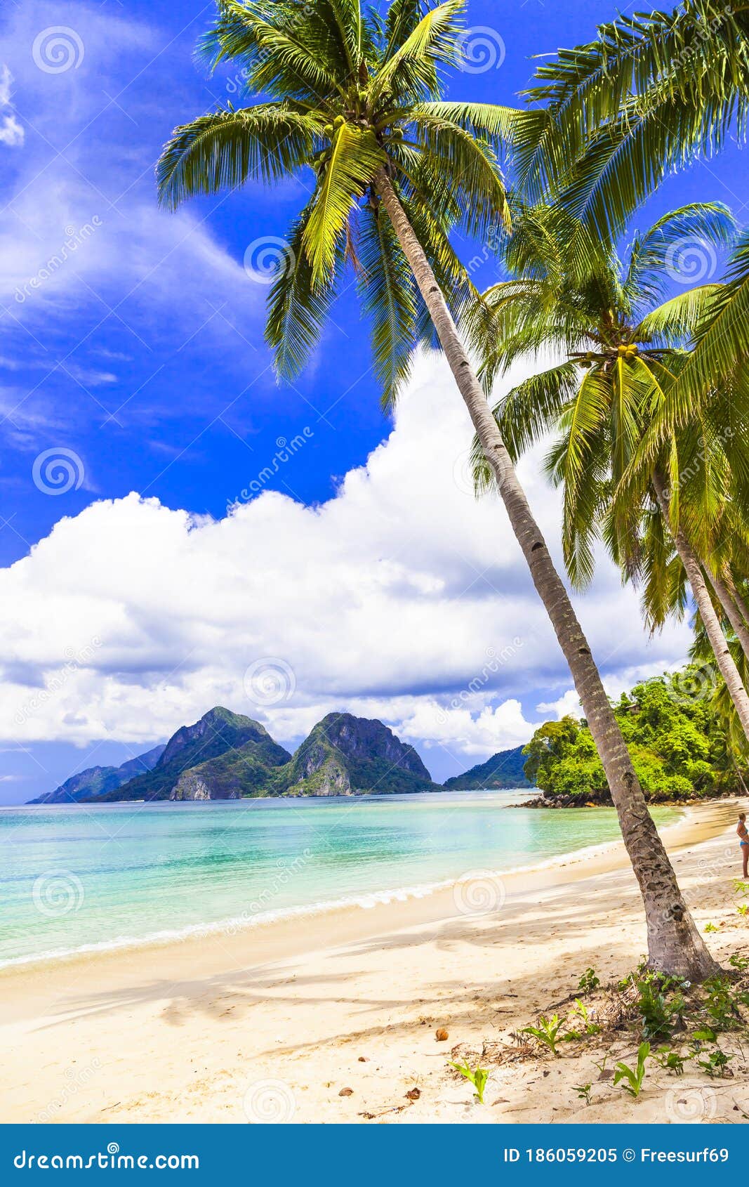 Golden Sand,turquoise Sea,palm Trees and Mountains,El Nido,Palawan ...