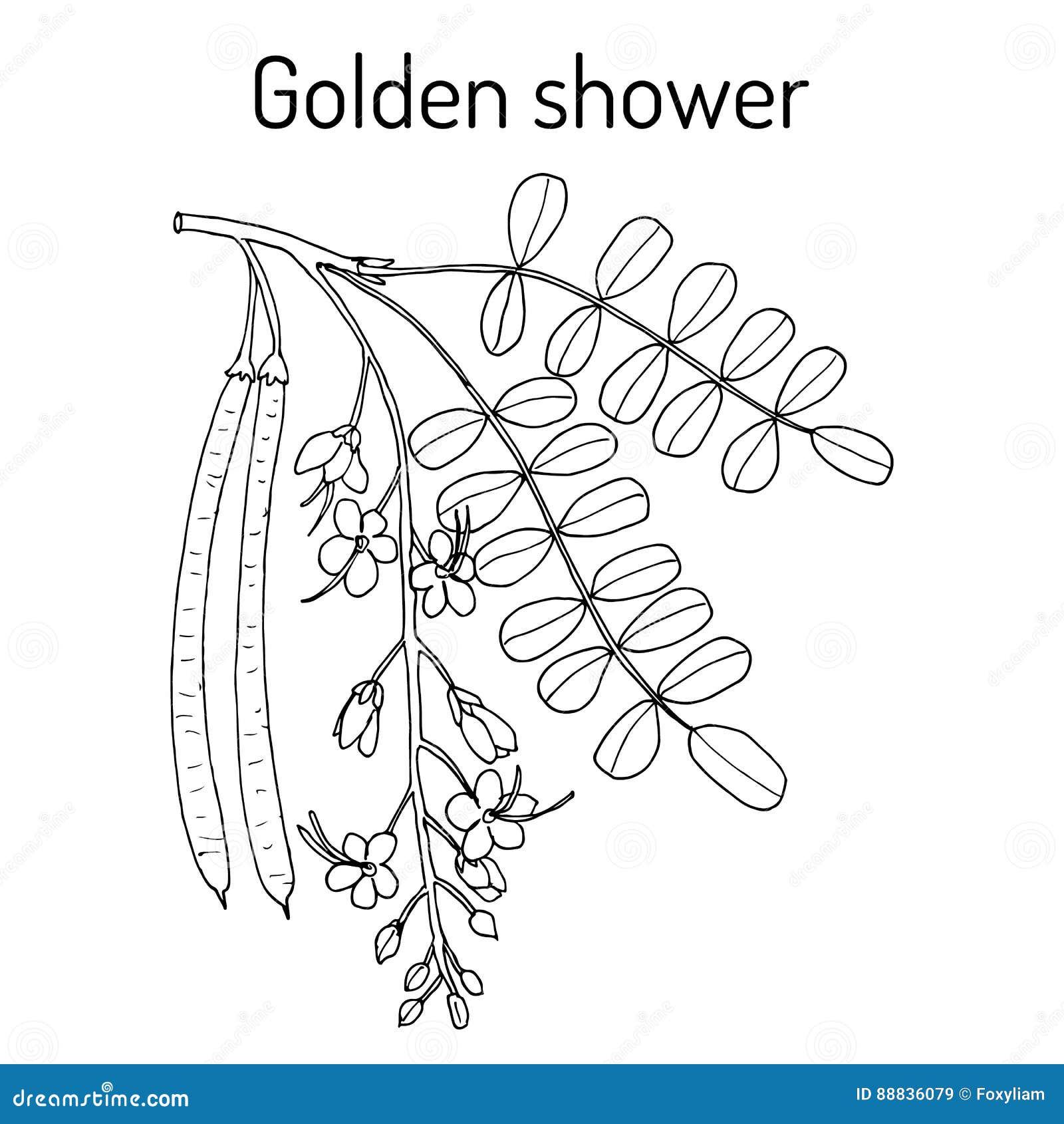 Golden shower drawings