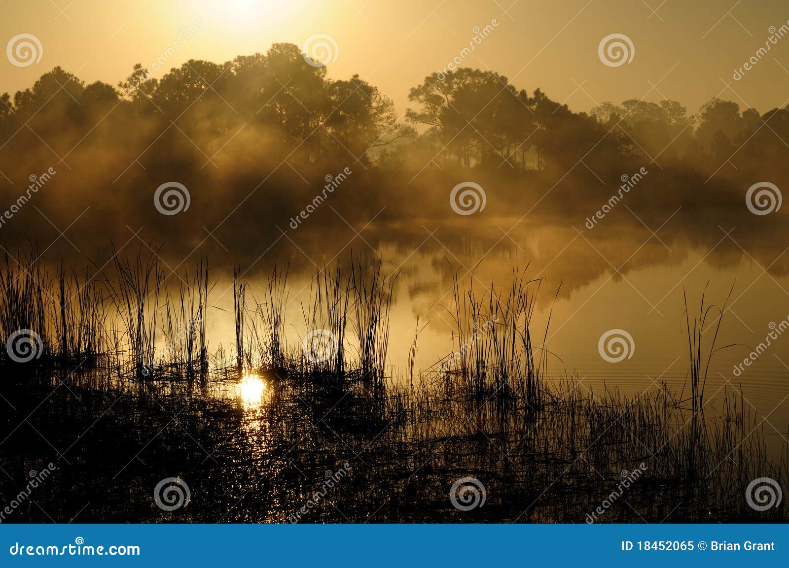 golden sunrise haze