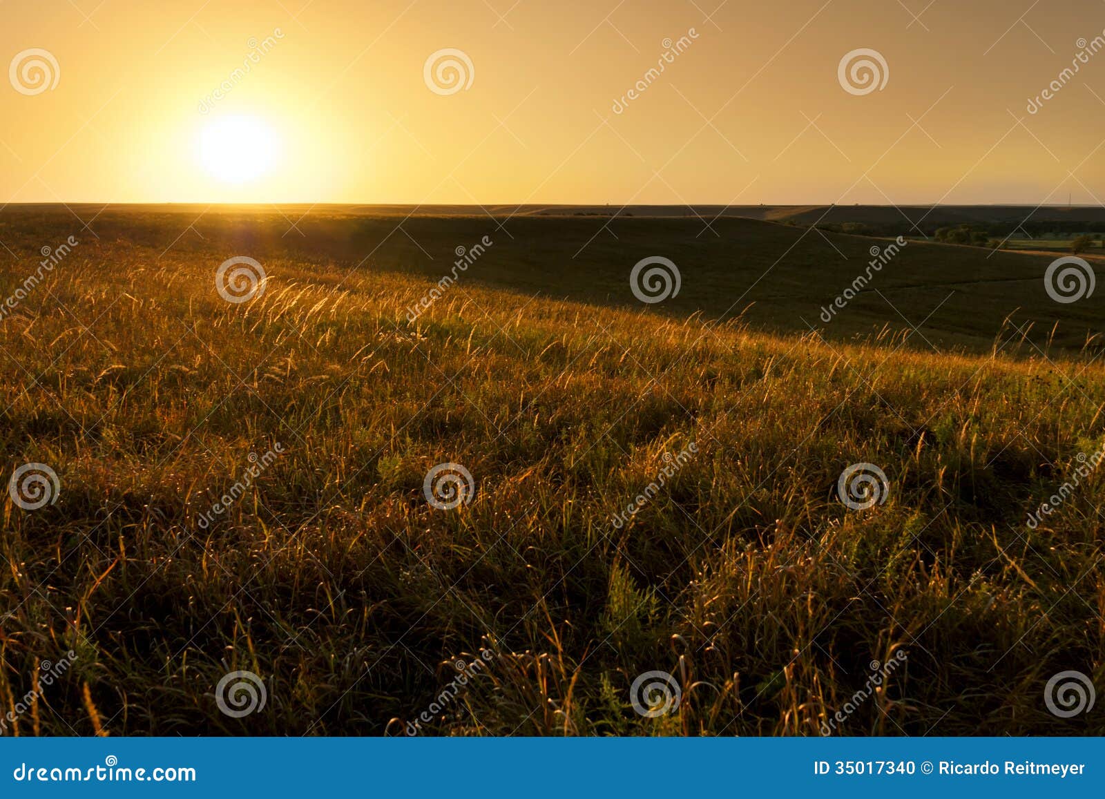 golden sunrise at kansas tallgrass prairie preserve national park
