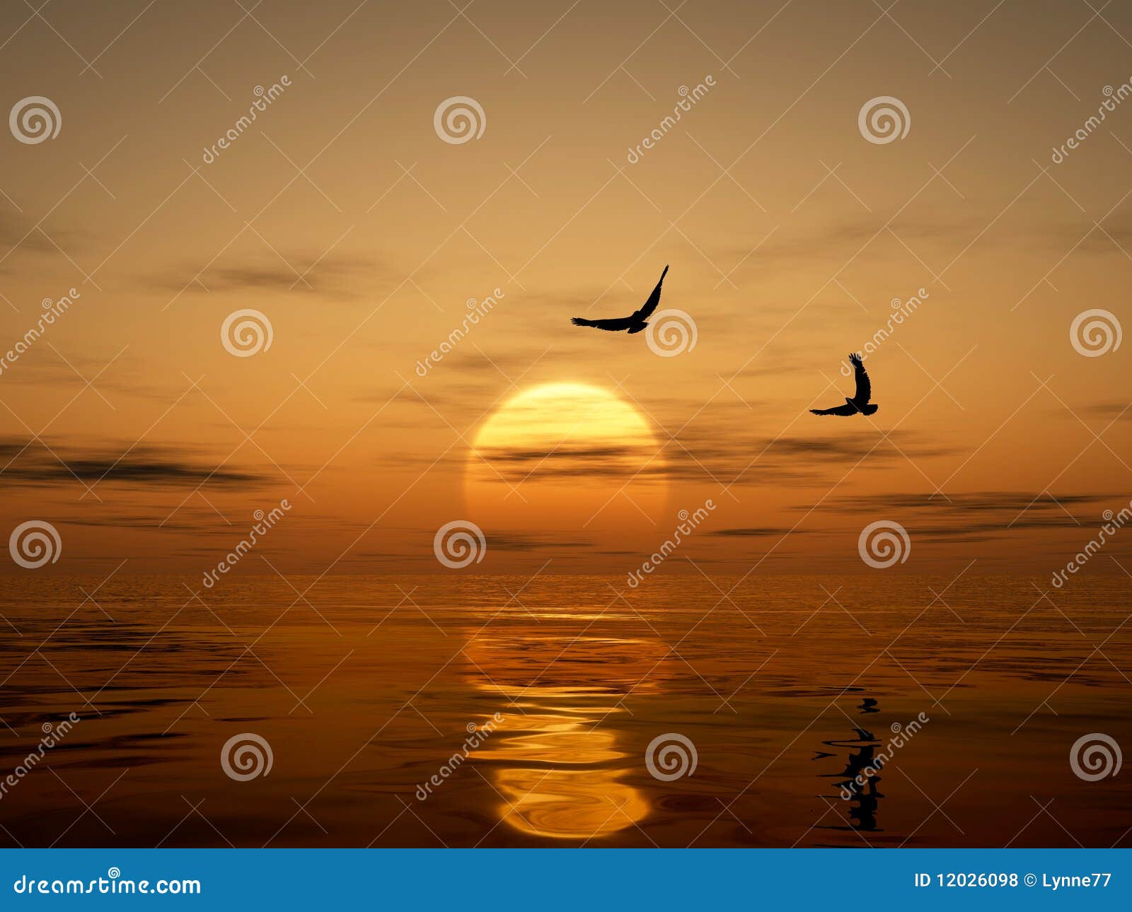 golden sunset with eagles