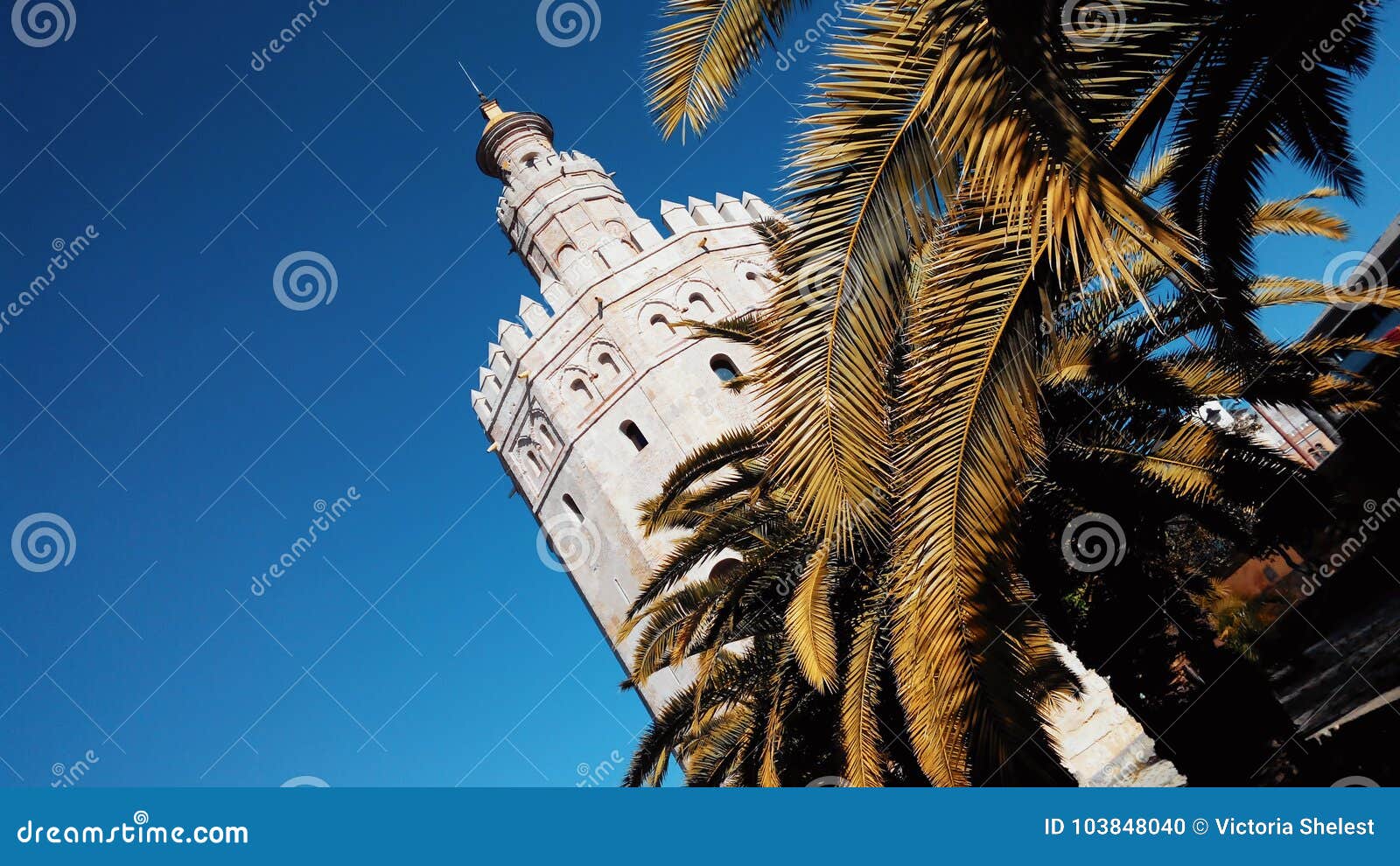 Golden Tower Torre Del Oro in Seville with Beautiful Palm Leav Stock ...