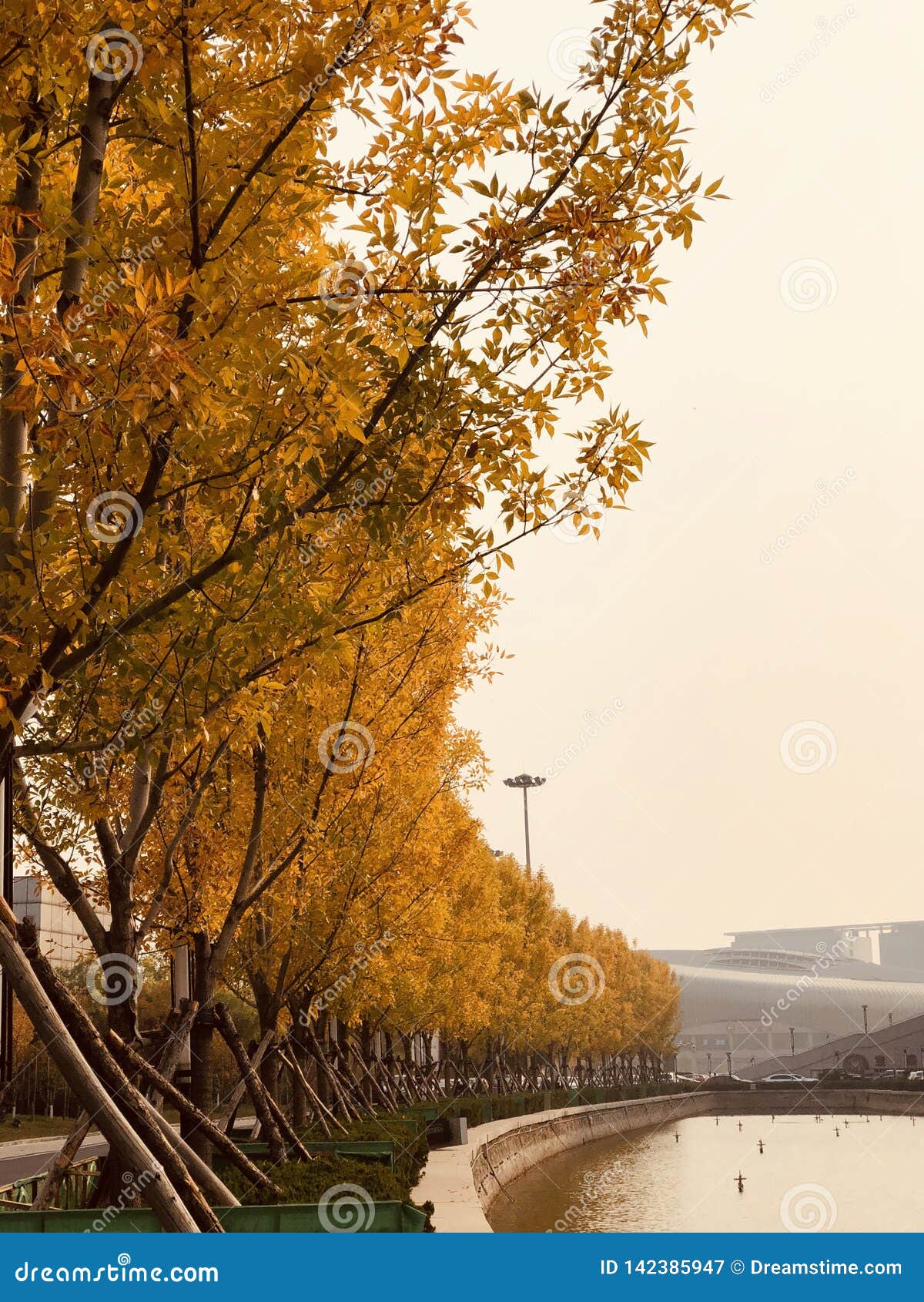 golden autumn the farm golden autumn the farm