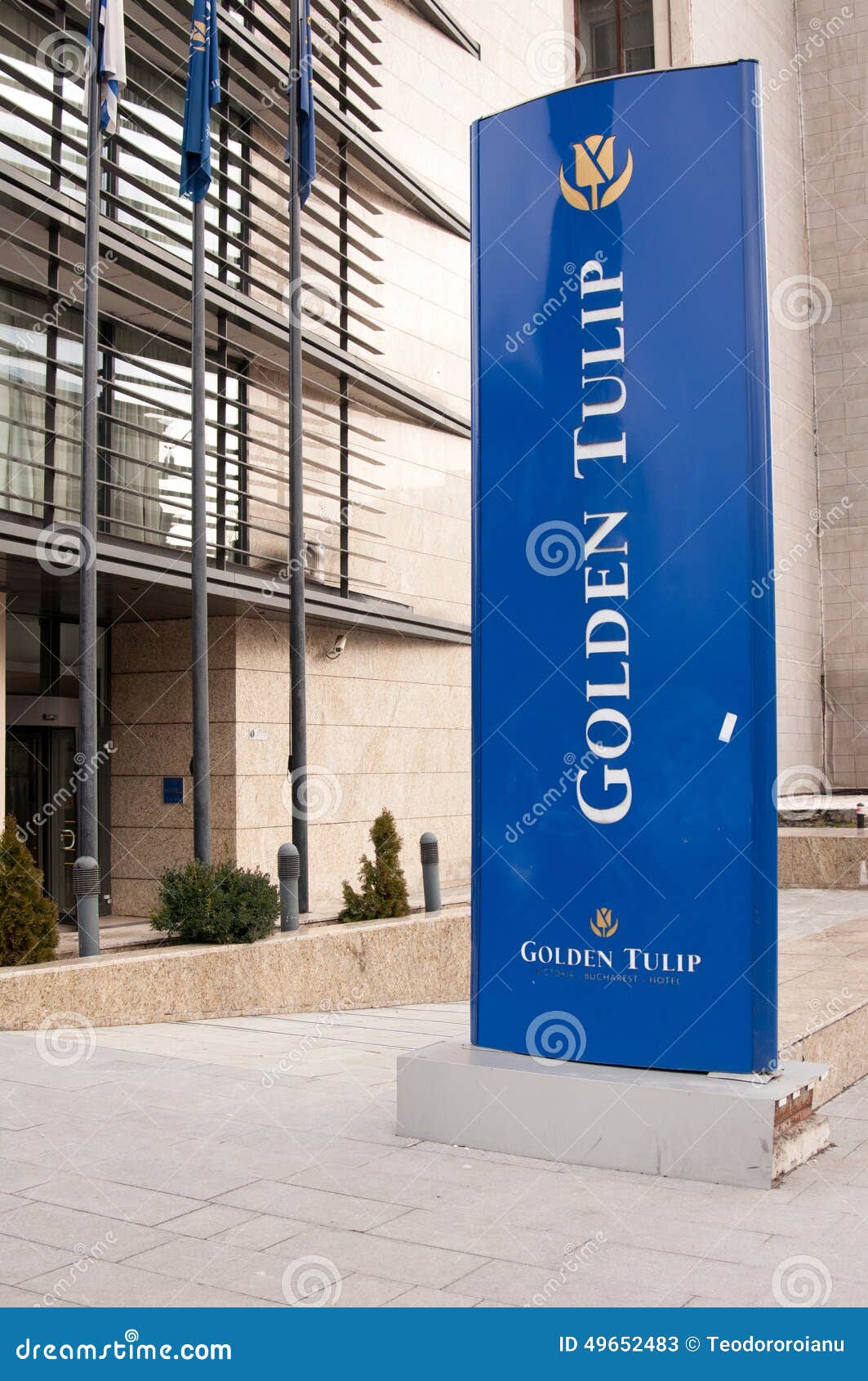 Tulip Bucharest Photos Free Royalty Free Stock Photos From Dreamstime