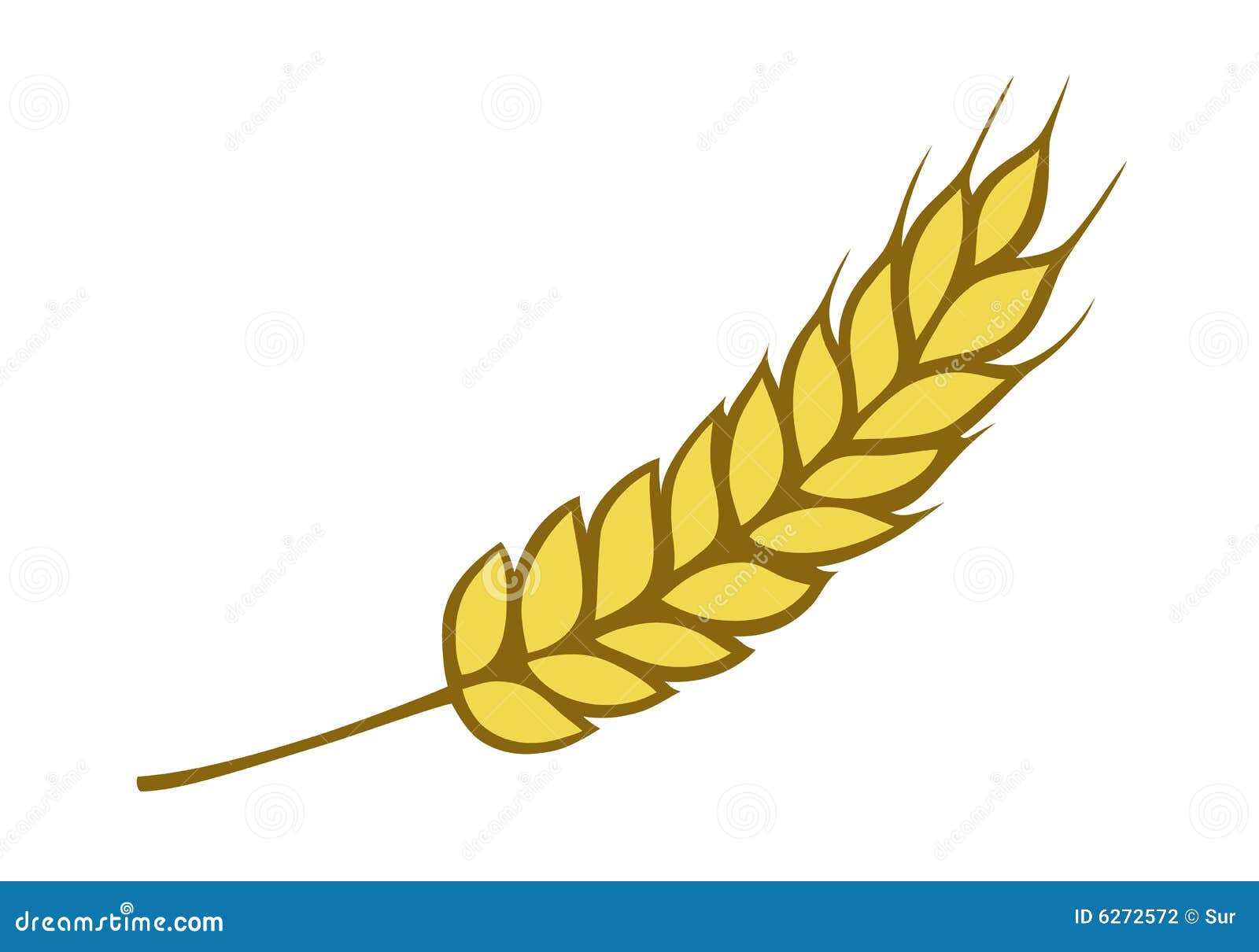 golden wheat