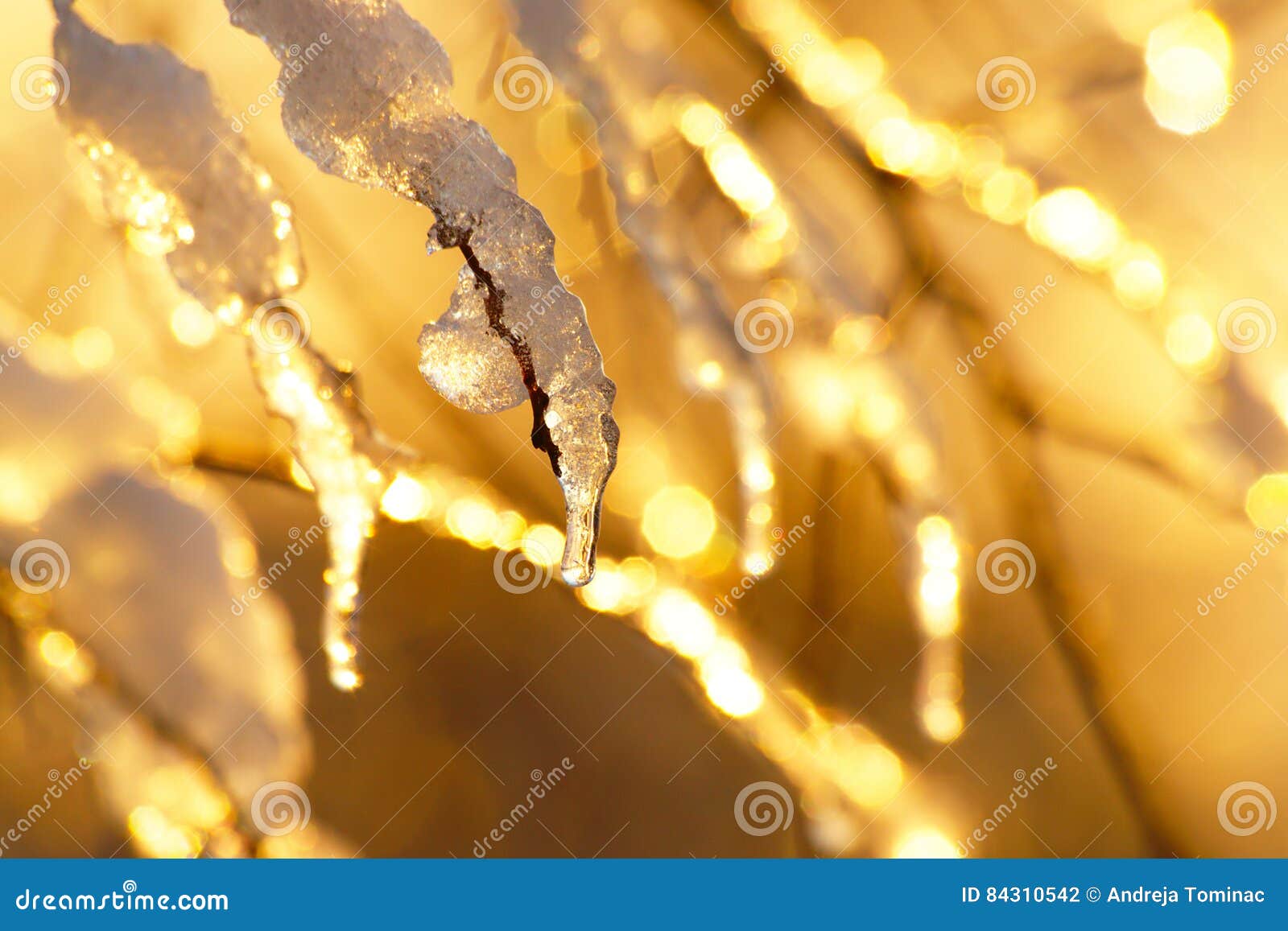 Golden Winter Sunset Background