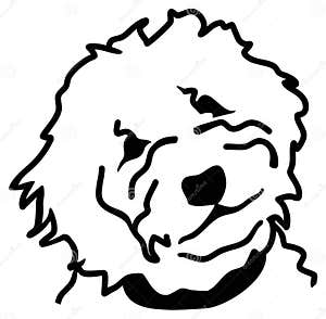 Goldendoodle Head Silhouette White Word Vector Illustration Goldendoodle Head Silhouette White Word Vector Illustration