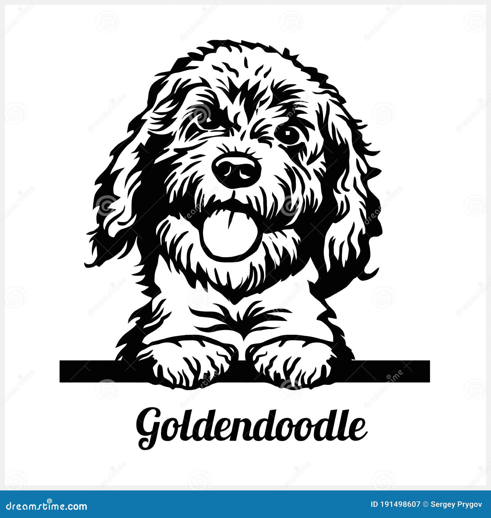 Goldendoodle Cartoons, Illustrations & Vector Stock Images - 231