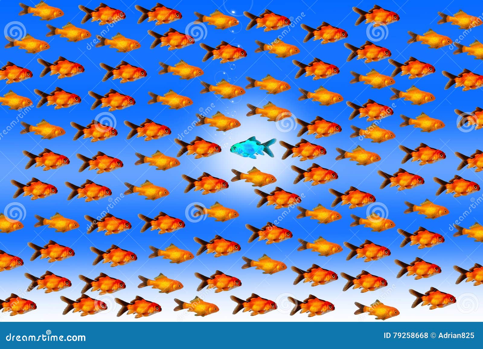 Goldenes Fische Schwimmen Gegen Den Strom Stockfoto Bild Von Ehrgeiz Grundregel