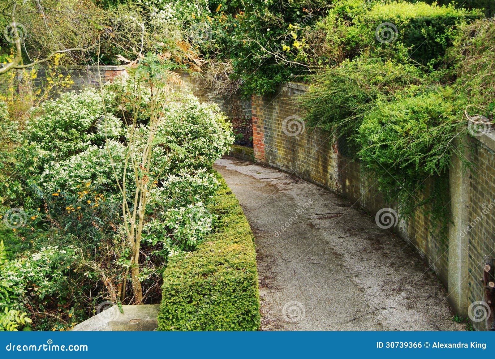 Golders Hill Park stock photo. Image of park, summer 30739366