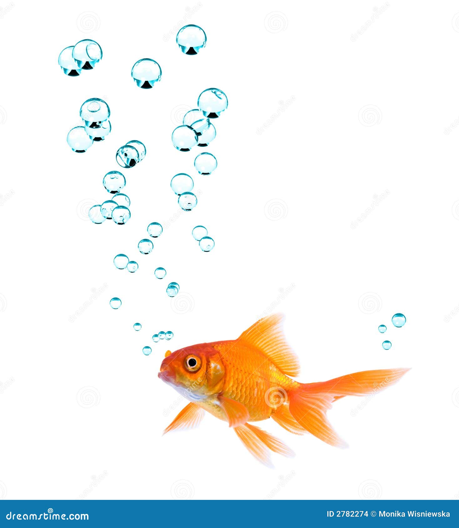 goldfish and bubbles