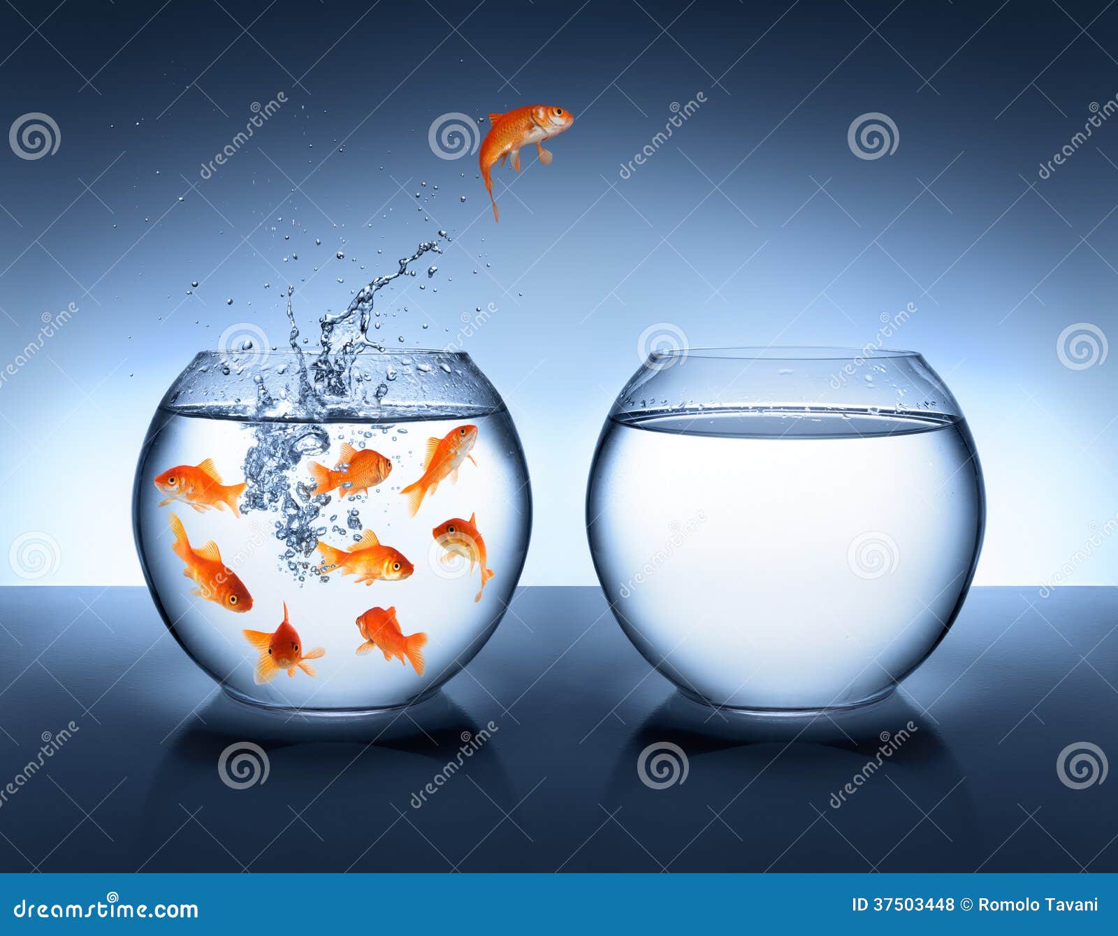 My Image 30