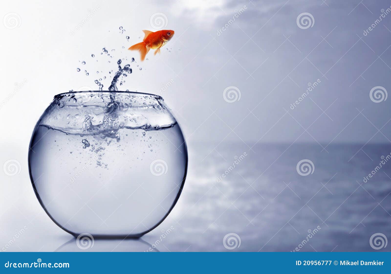 goldfish jumping into the sea