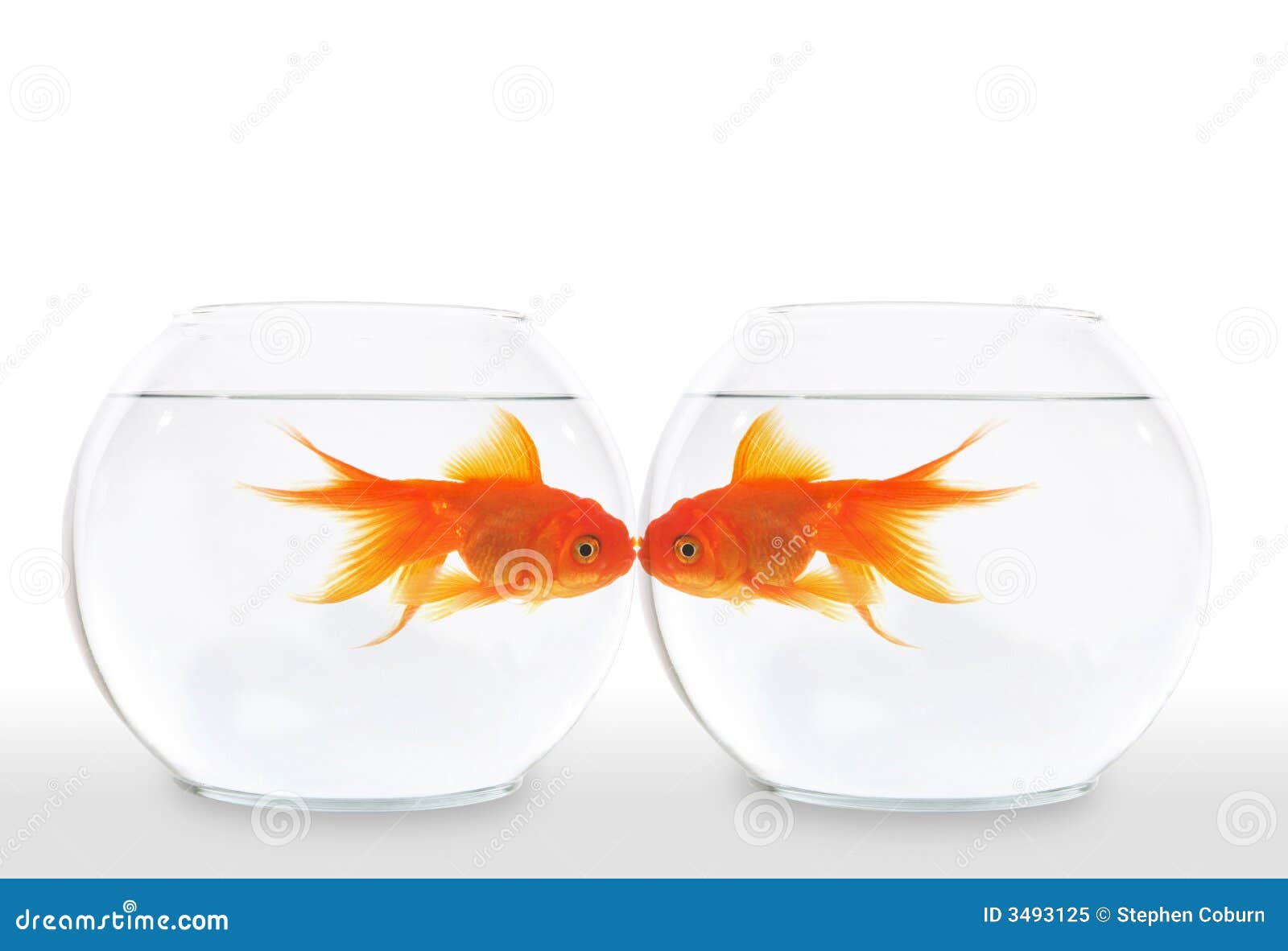 Goldfish Kiss Nail Art Ideas - wide 5