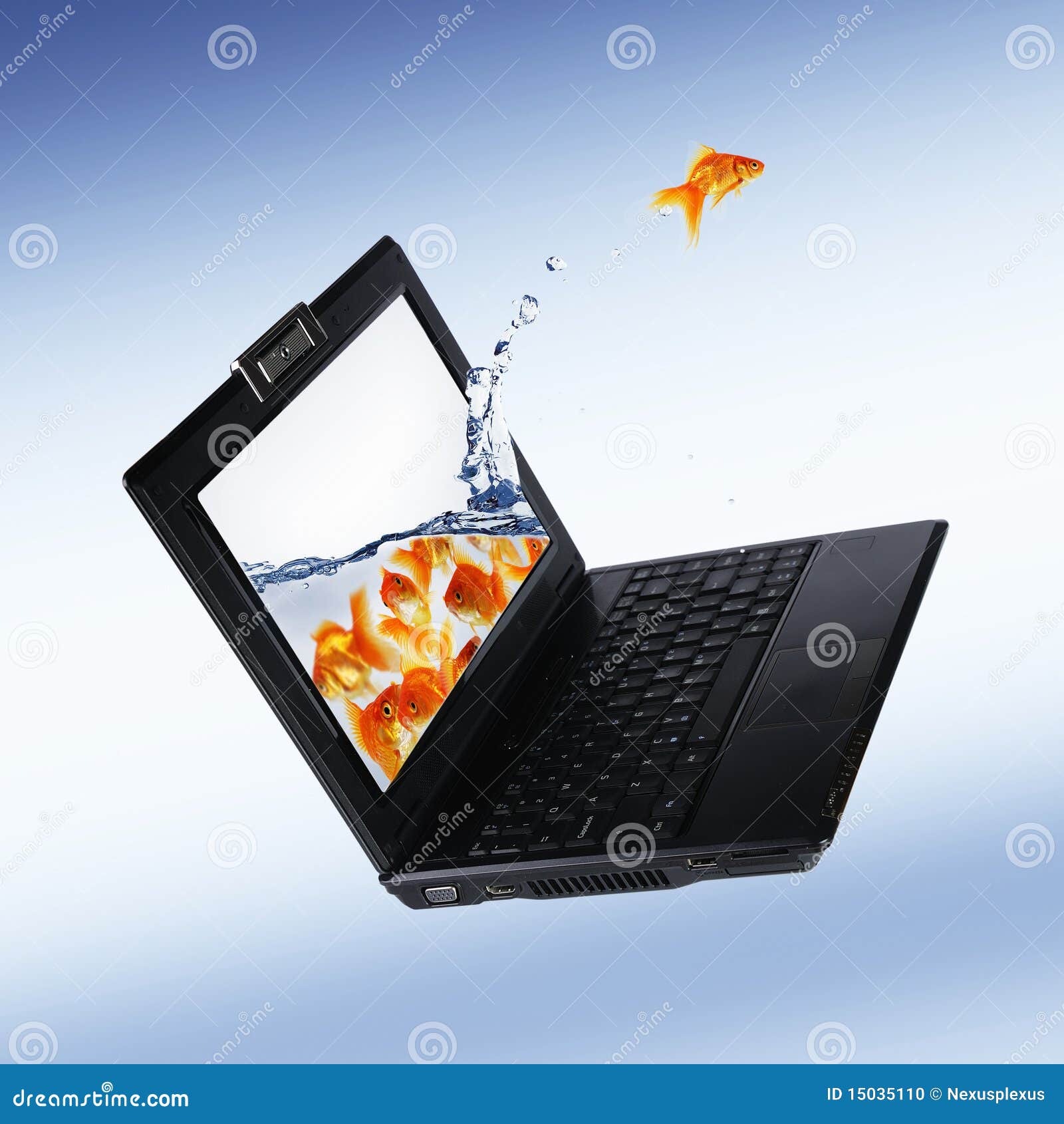 1,052 Fish Laptop Stock Photos - Free & Royalty-Free Stock Photos from  Dreamstime