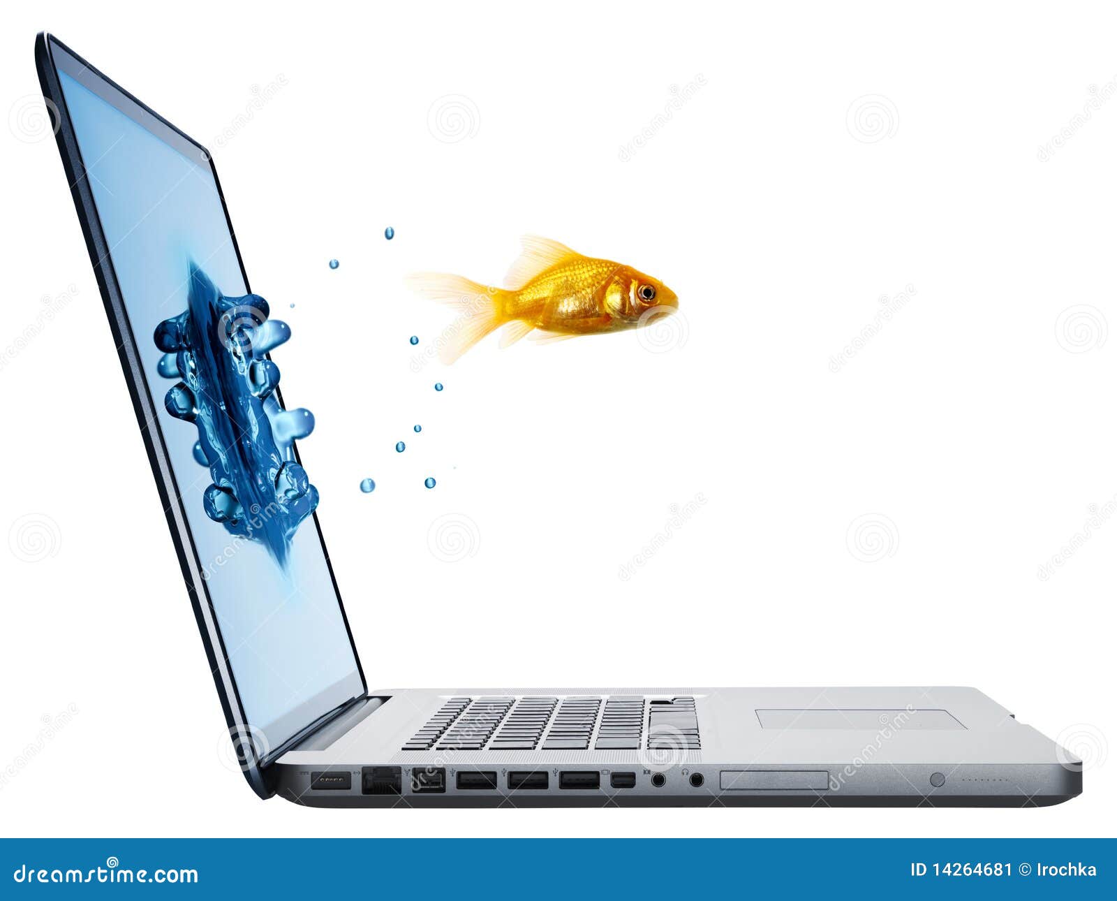 goldfish leaping from laptop