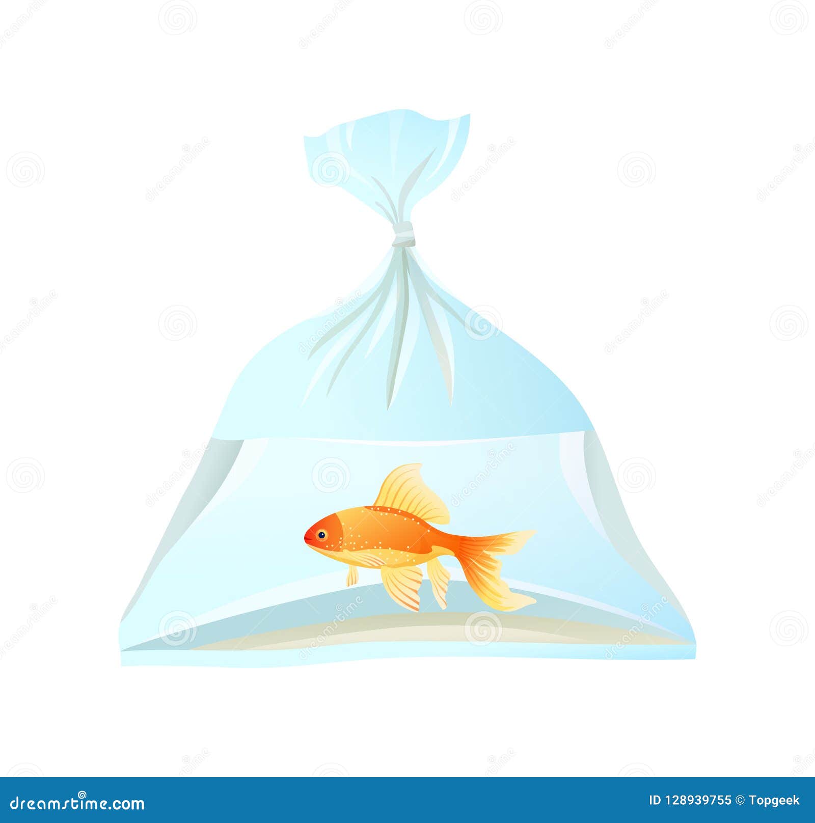 Goldfish Swim in Plastic Bag, Tied with Rope. Stock Vector - Illustration  of hobby, fish: 128939755