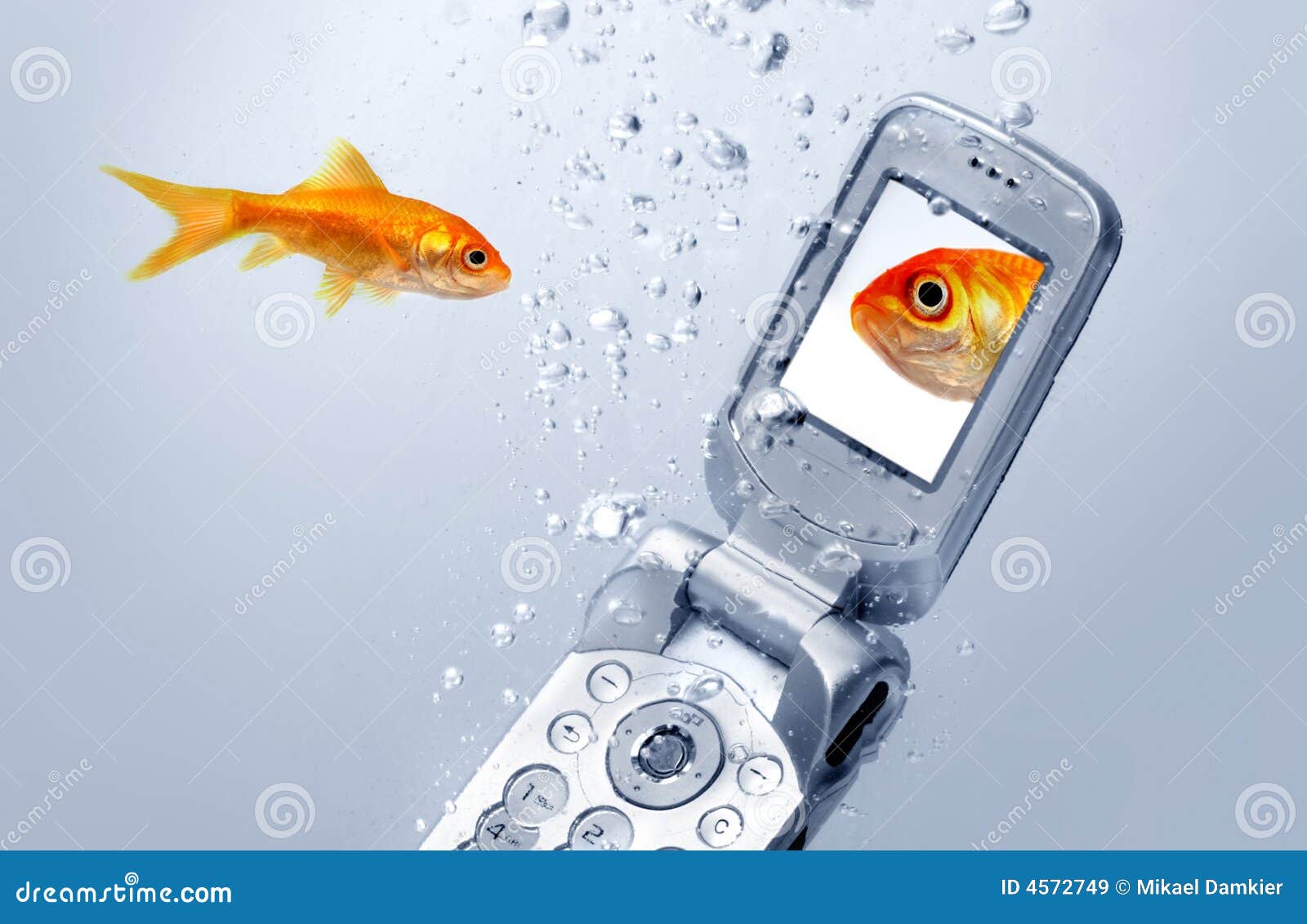 Goldfish Phone Stock Photos - Free & Royalty-Free Stock Photos from  Dreamstime