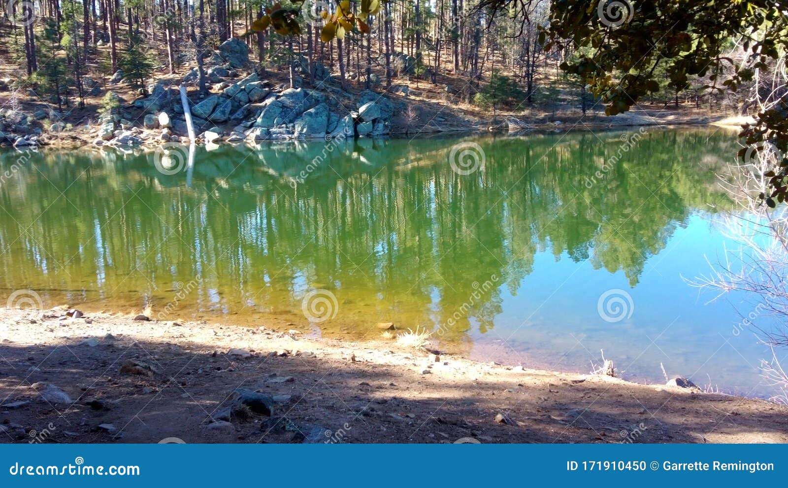 Goldwater Lake Hike View of Forest and Water Stock Photo Image of
