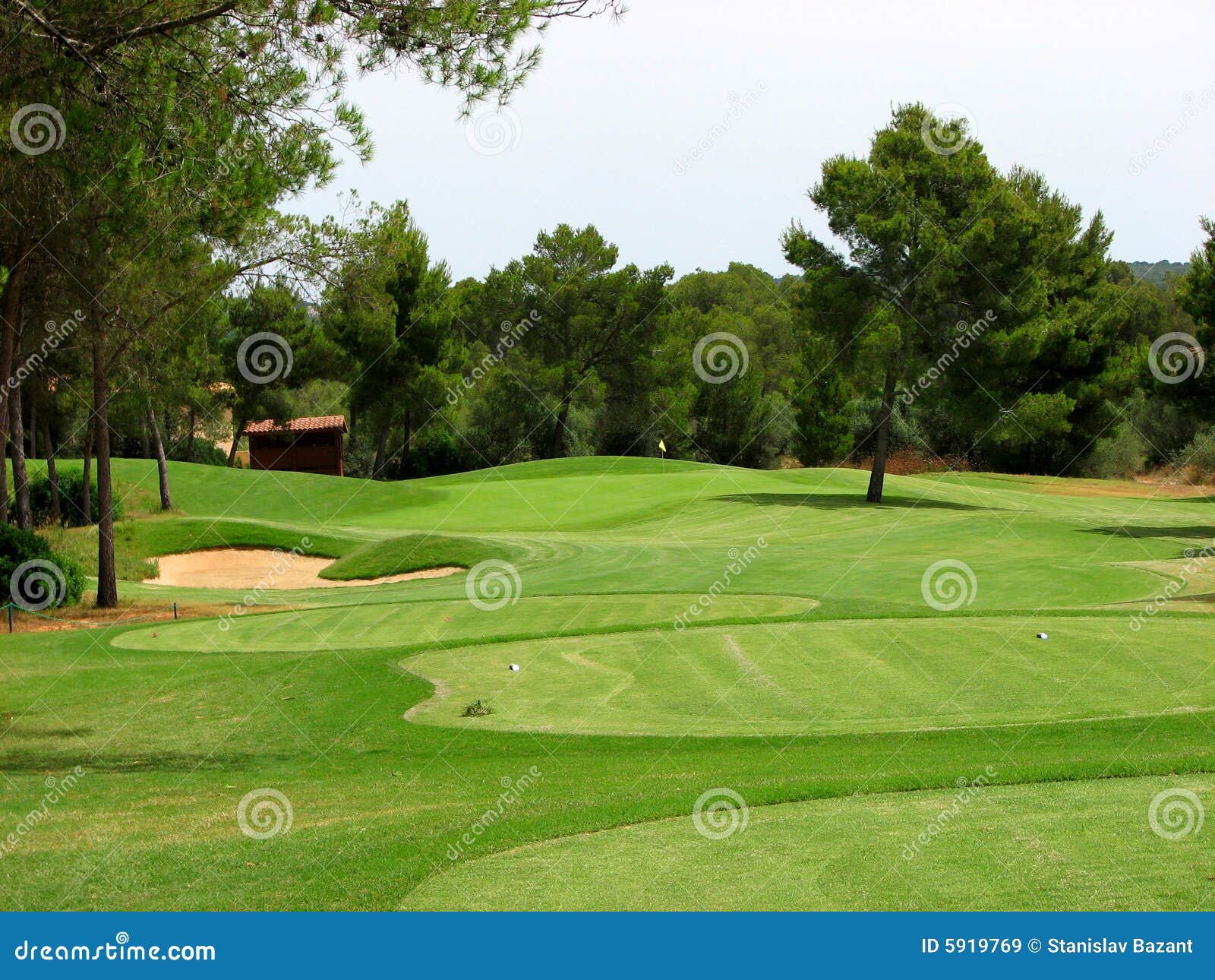 Golf Bild Bild