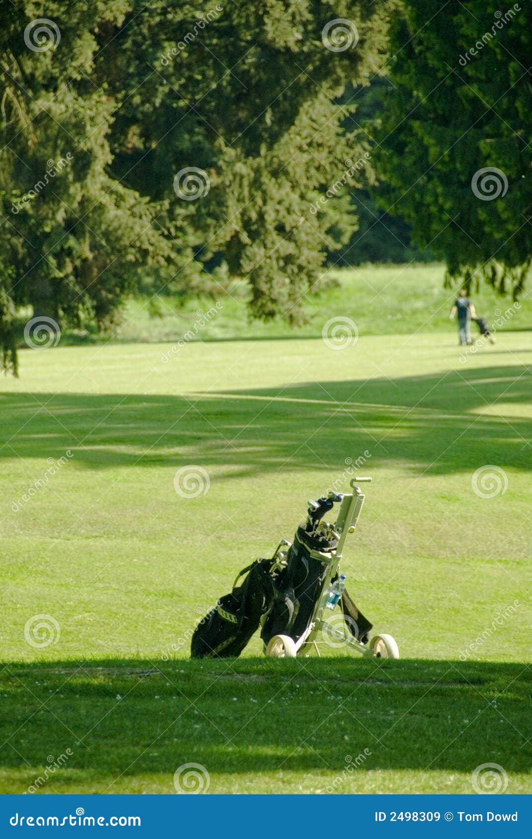 golf bag waits on green fairway
