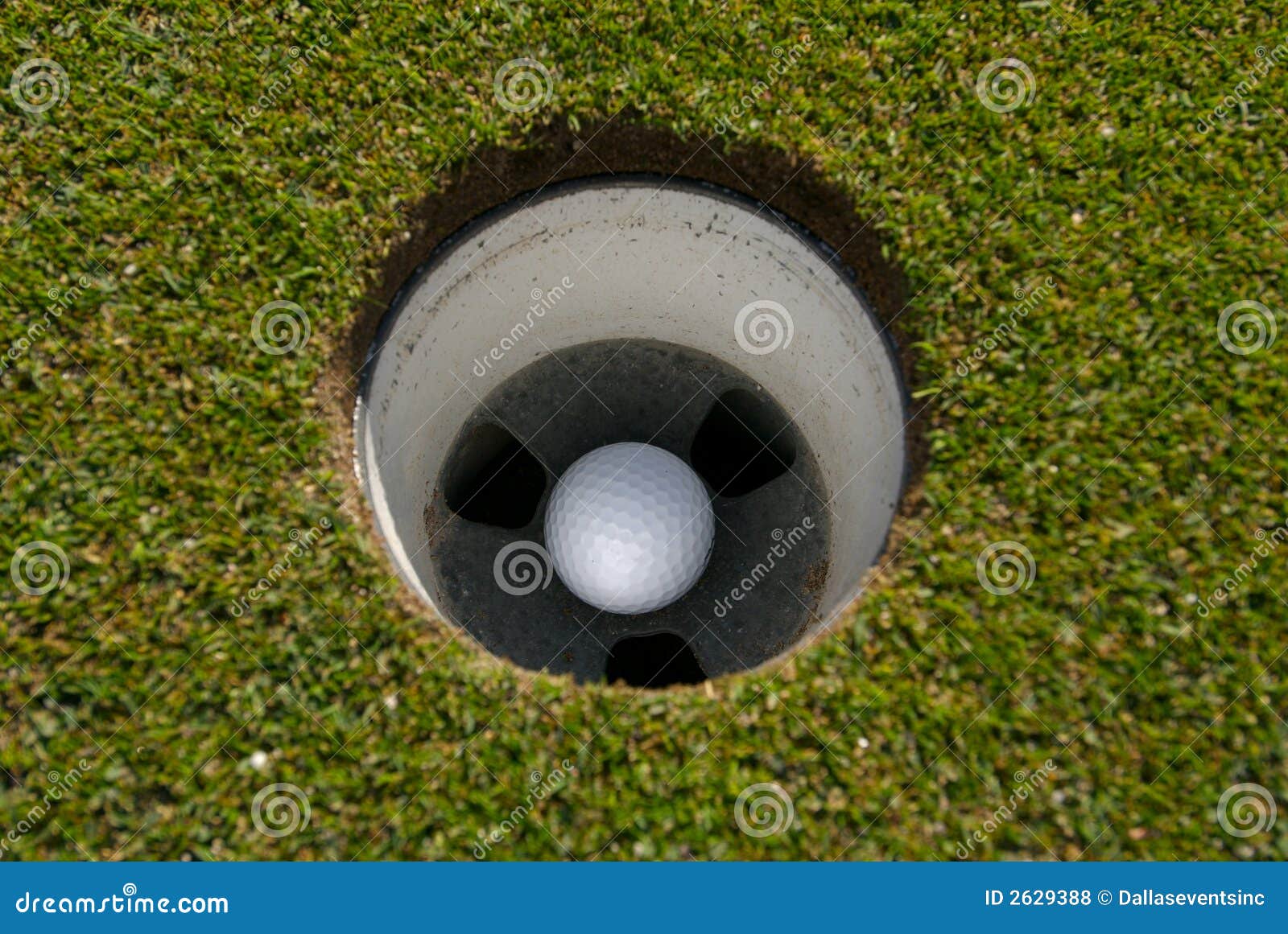 Golf ball in the cup stock photo. Image of challenge, golfer 2629388