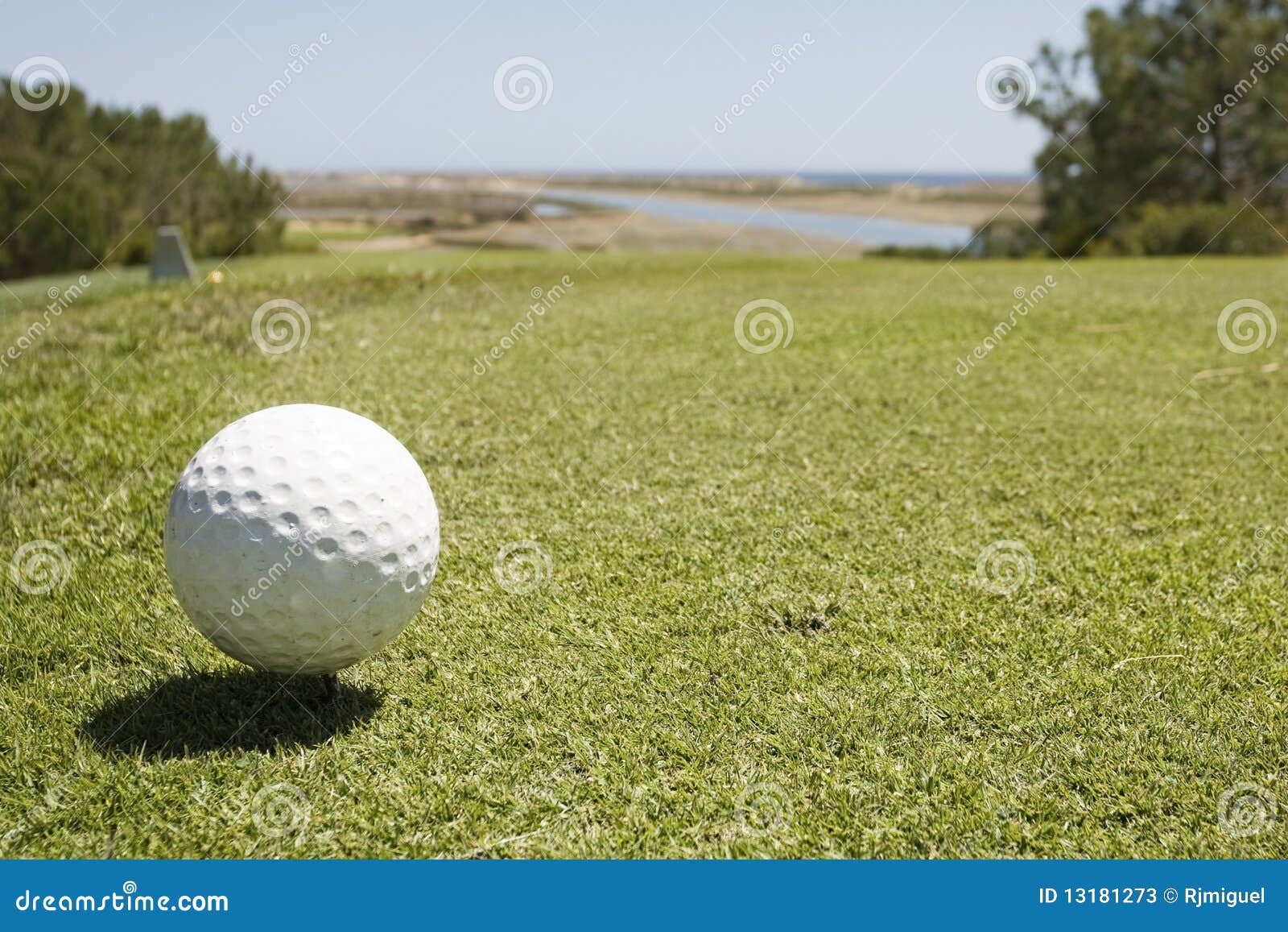 Golf Ball Detail with Tee at Golf Course Stock Image Image of ball, sport 13181273