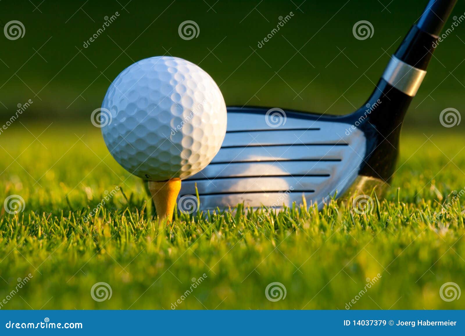 Golf Ball and Driver on Golf Course Stock Image Image of hobby, game