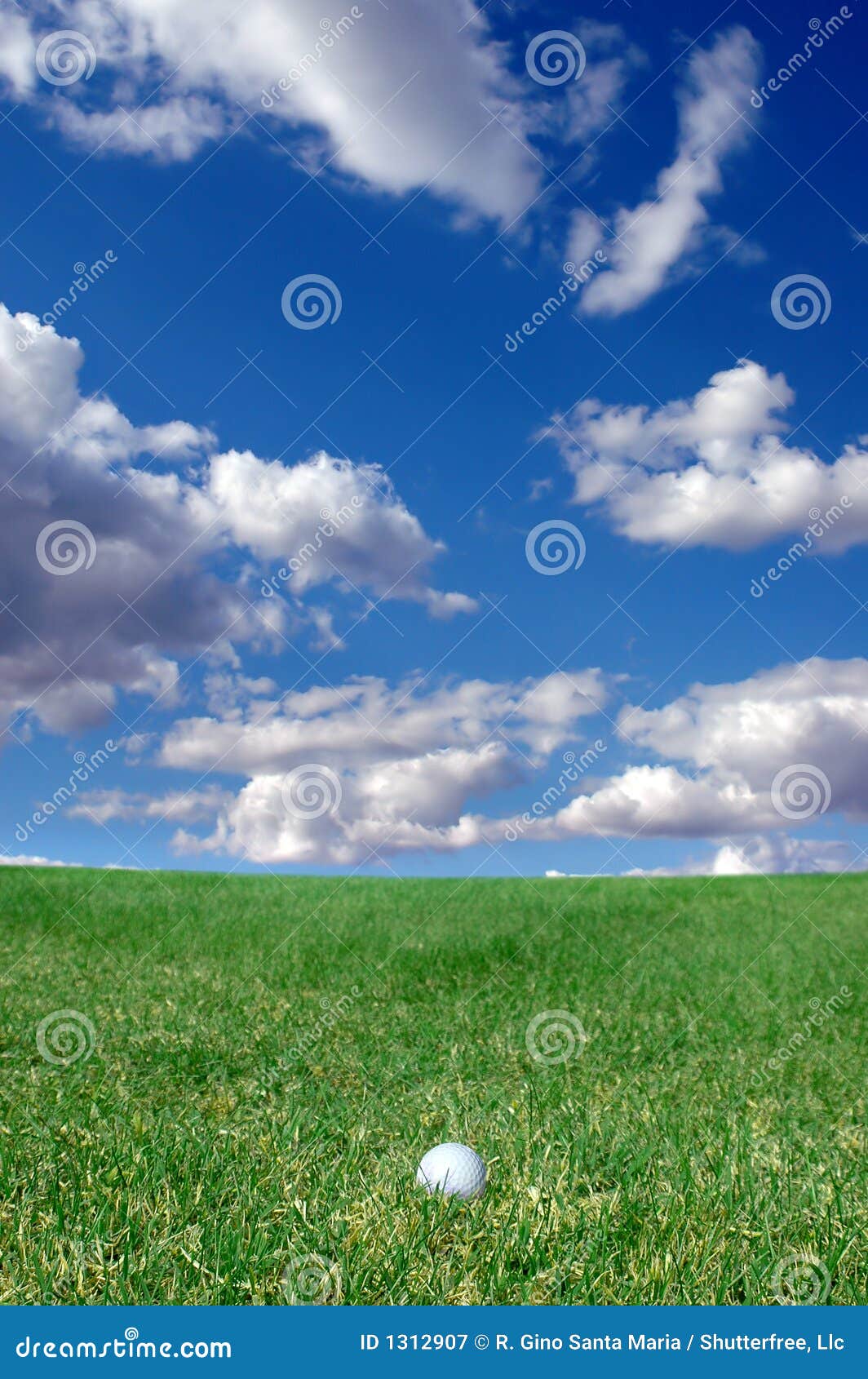 Golf Ball on the Fairway stock image. Image of drive, grassy 1312907