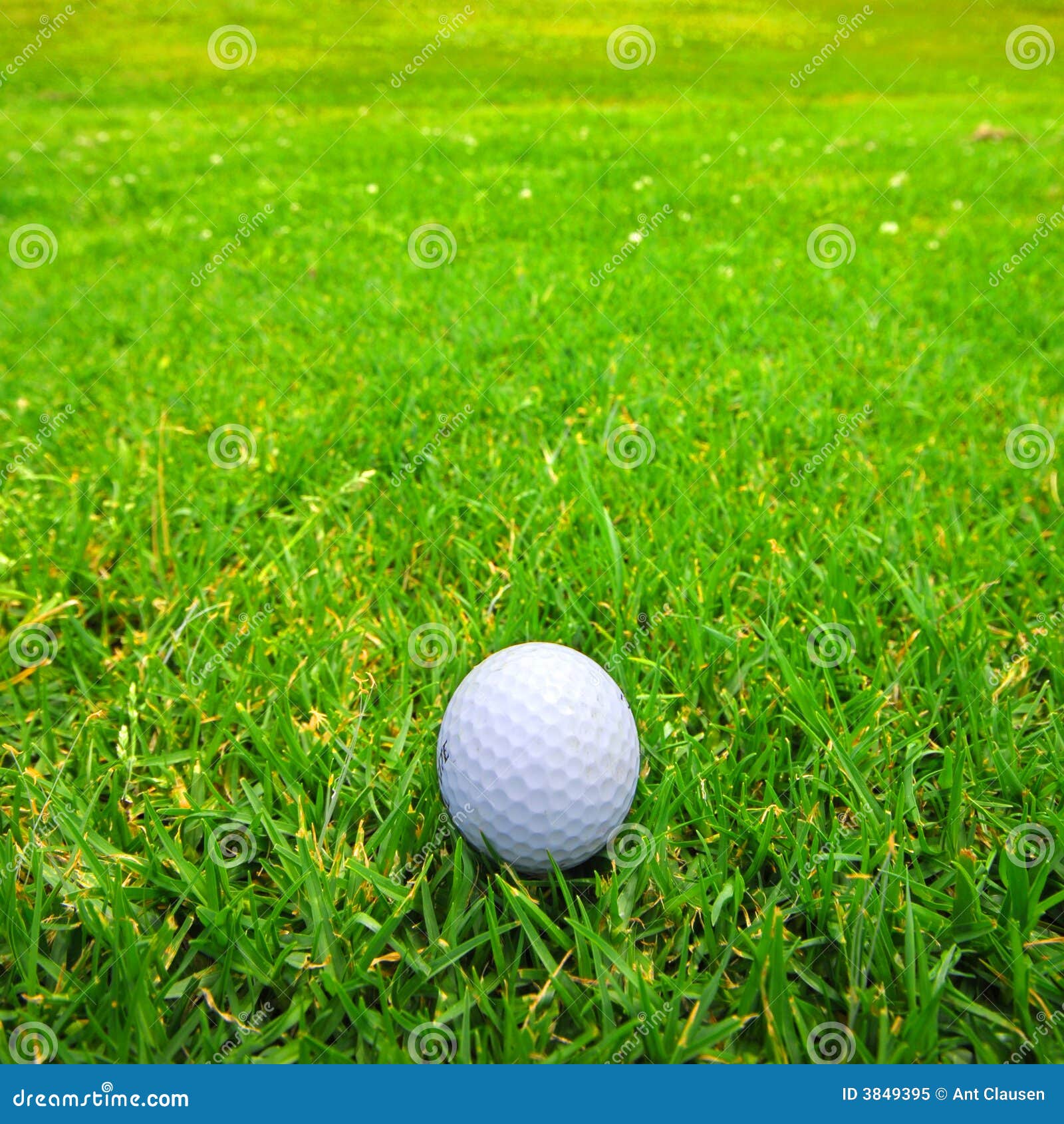 Golf ball on fairway stock image. Image of close, parr 3849395