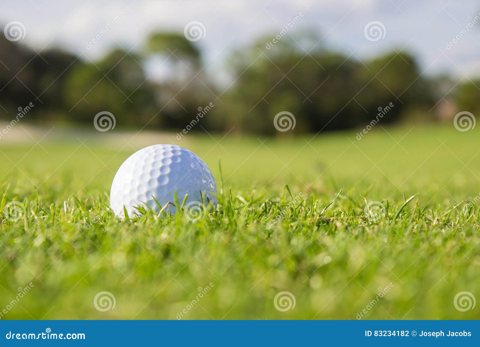 Golf Ball on Fairway stock photo. Image of fairway, rough 83234182