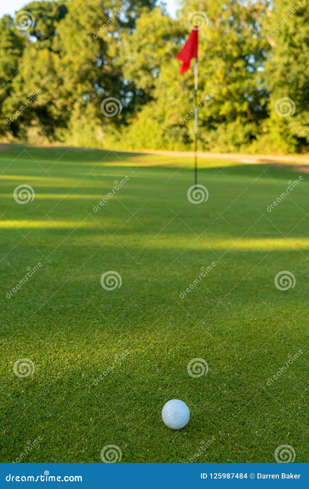 Golf Ball and Flag on the Green of a Golf Course Stock Photo Image of
