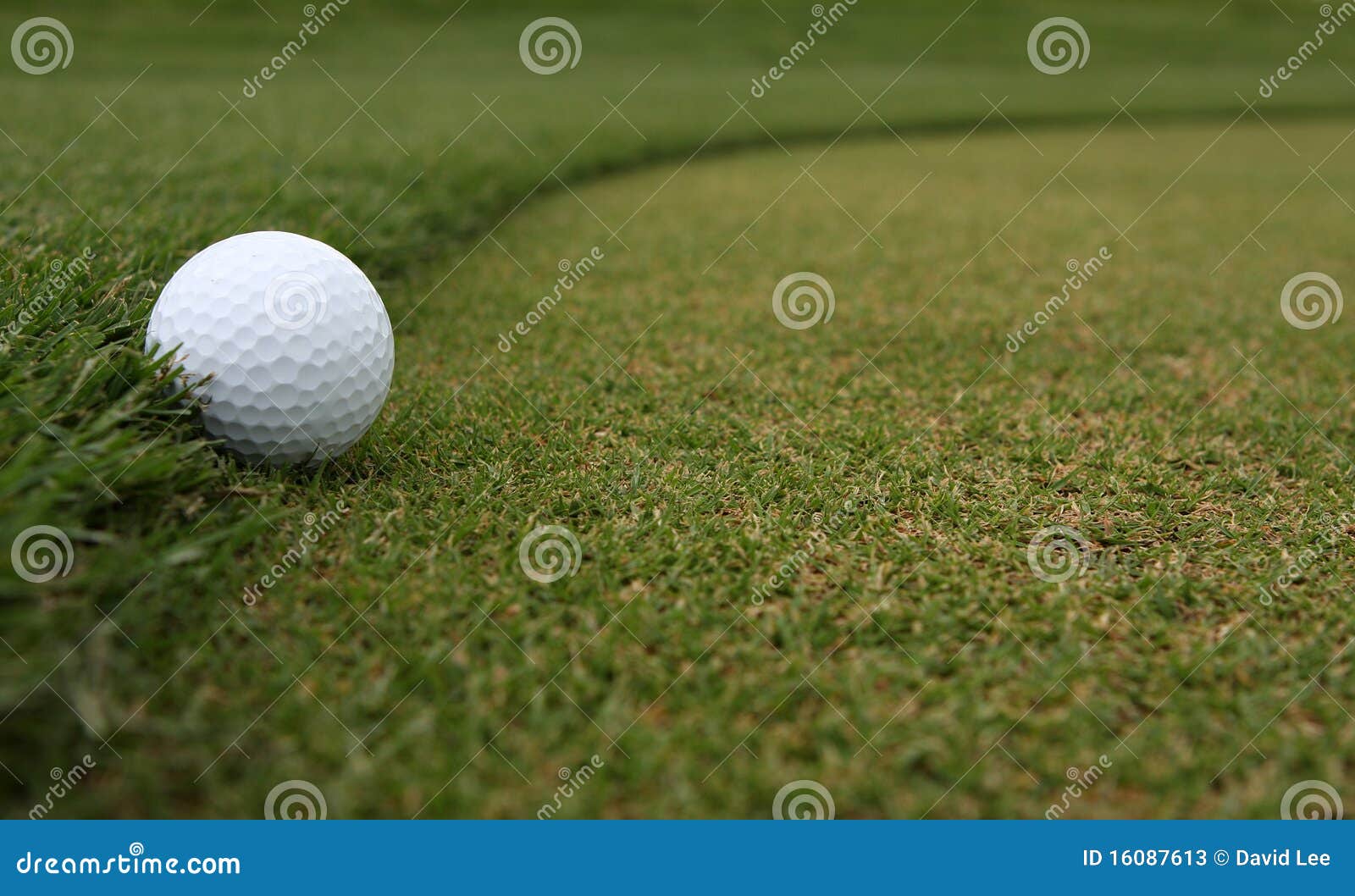 Golf Ball on the Fringe stock image. Image of horizontal 16087613
