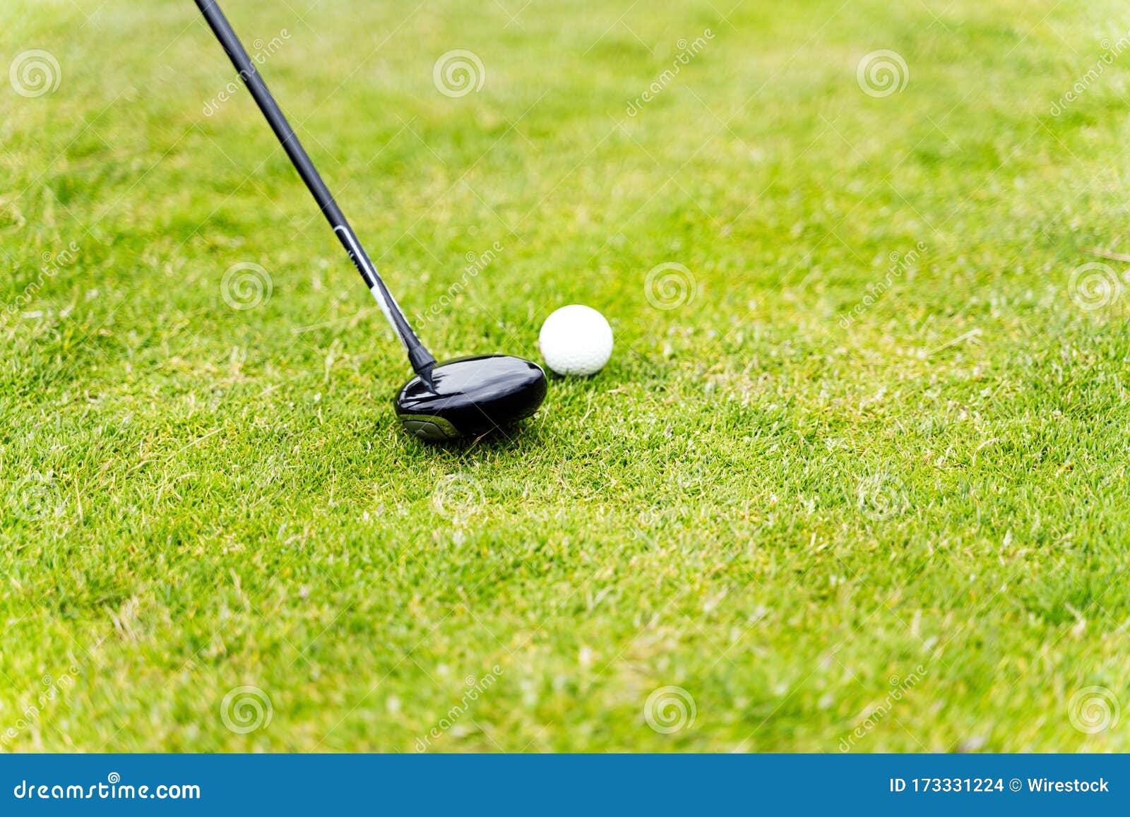 Golf Ball in a Golfing Field during Daytime Stock Photo Image of